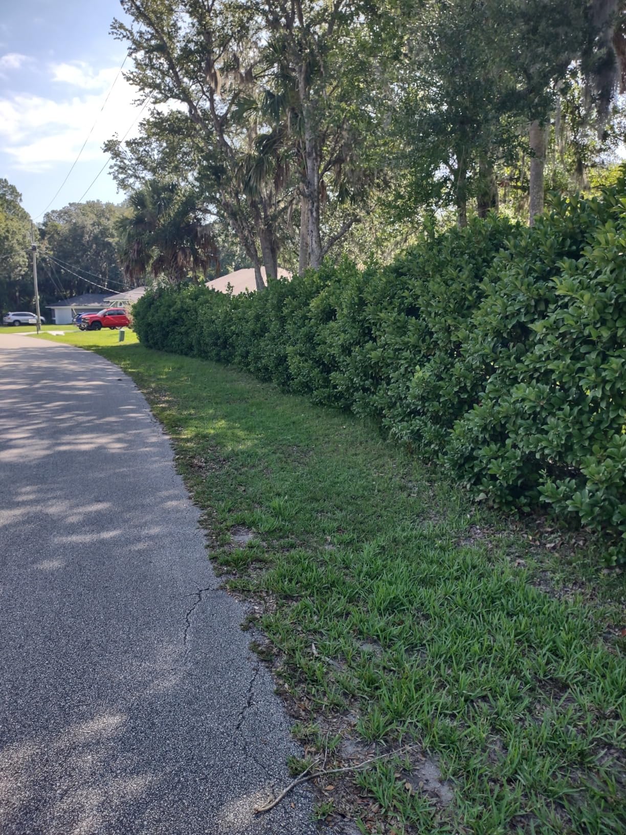 EGO POWER+ Cordless Hedge Trimmer, Electric Hedge Trimmer 26