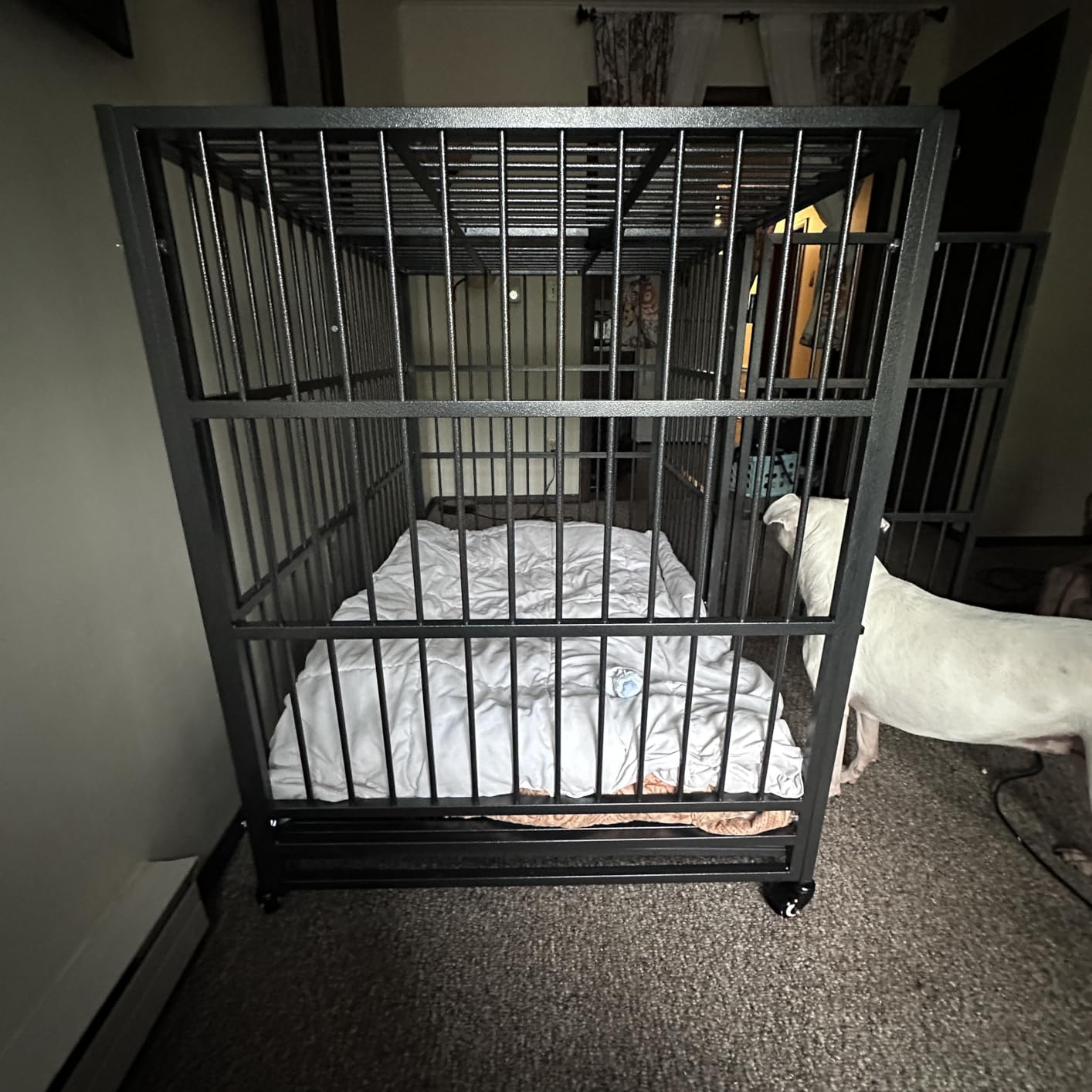 BOLDBONE 48 inch Heavy Duty Indestructible and Escape-Proof Dog Crate Cage Kennel for Large Dogs, High Anxiety Dog Crate with Removable Wire Trays and Wheels, Extra Large XL XXL, Black customer photo 1