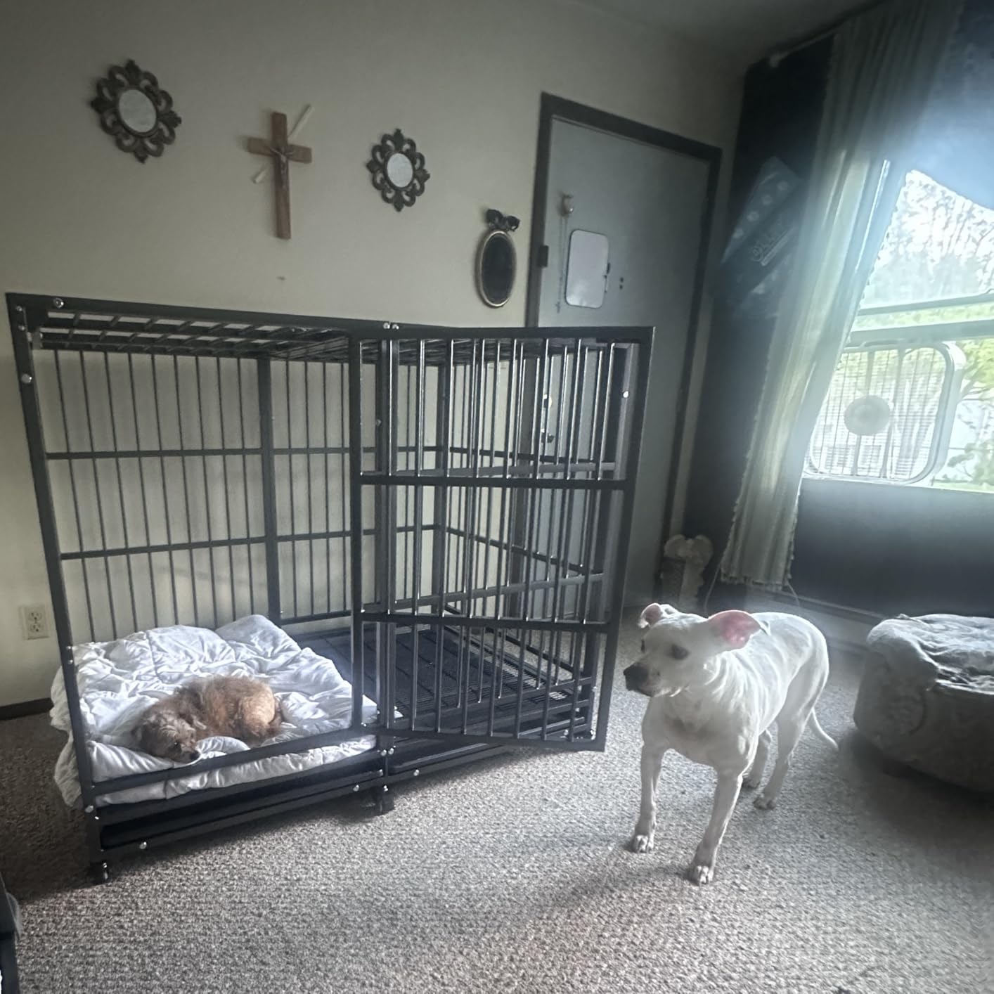 BOLDBONE 48 inch Heavy Duty Indestructible and Escape-Proof Dog Crate Cage Kennel for Large Dogs, High Anxiety Dog Crate with Removable Wire Trays and Wheels, Extra Large XL XXL, Black customer photo 2