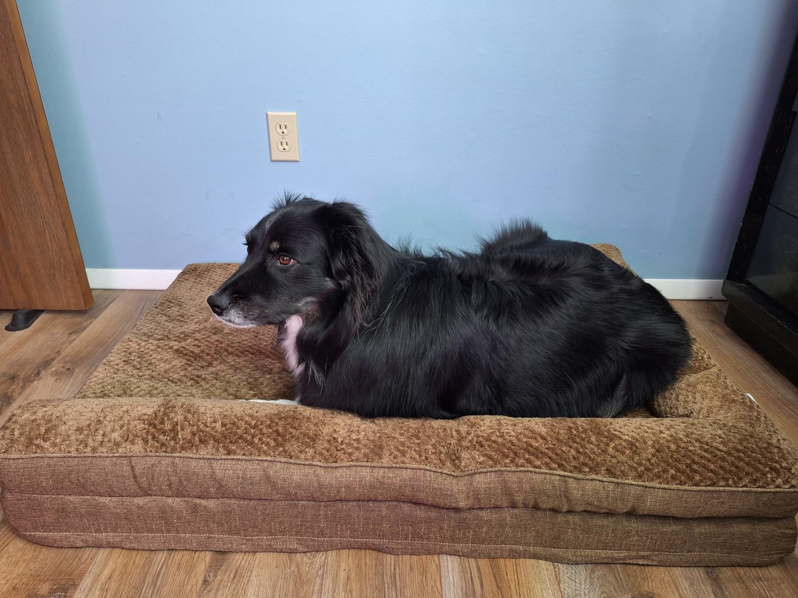 EHEYCIGA Orthopedic Dog Bed Medium Size Dogs, Memory Foam Dog Bed with Washable Removable Cover, Waterproof Pet Sofa Couch for Crate with Nonskid Bottom, 30x20x6, Grey customer photo 2