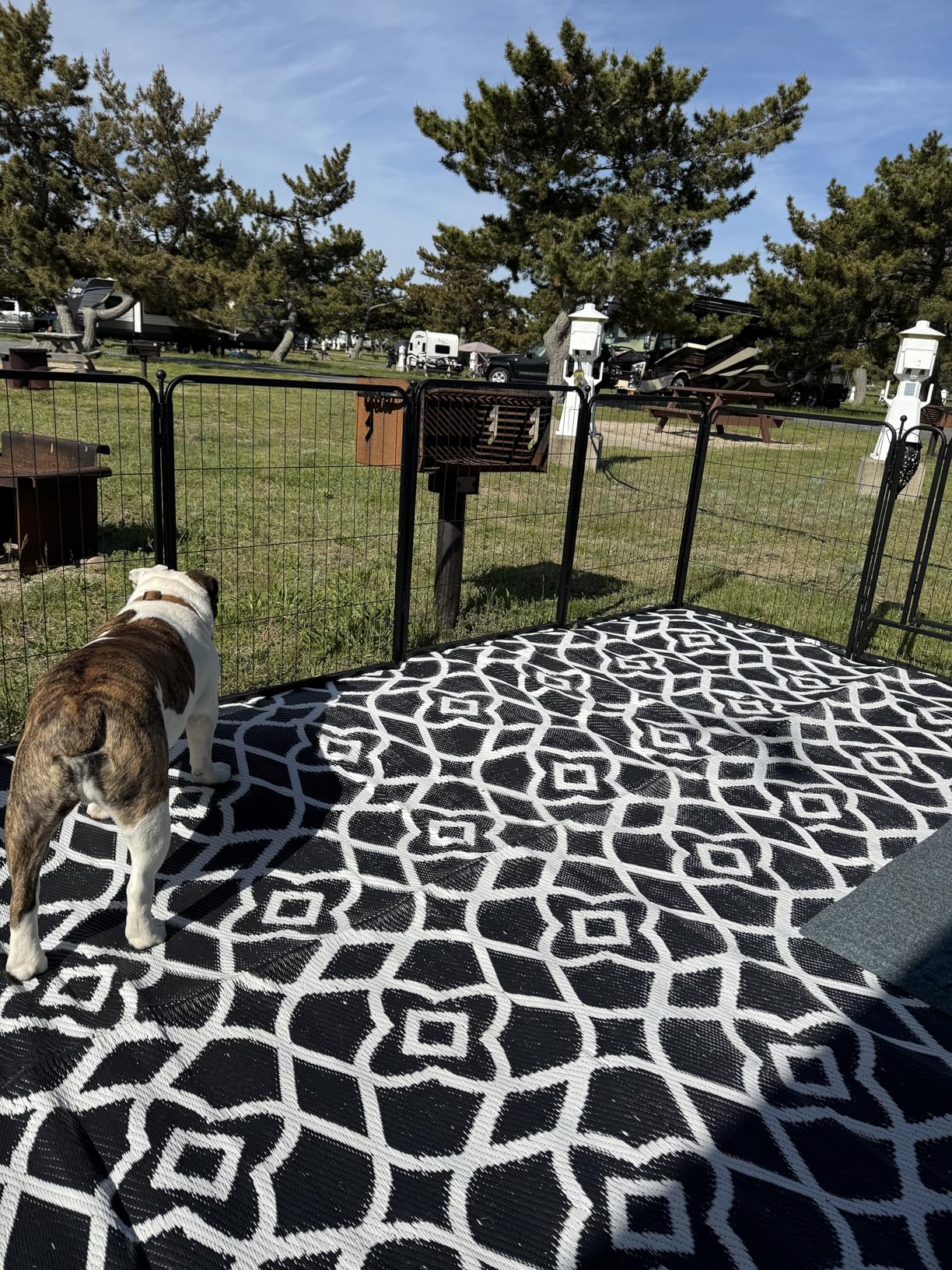 FXW Rollick Unleashed Dog Playpen for Indoor, Yard, RV Camping, 24 inch 8 Panels for Small and Puppy Dogs, Black customer photo 2