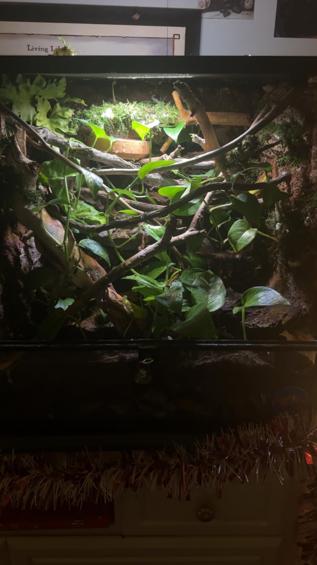 REPTIZOO 90 Gallon Reptile Terrarium 24