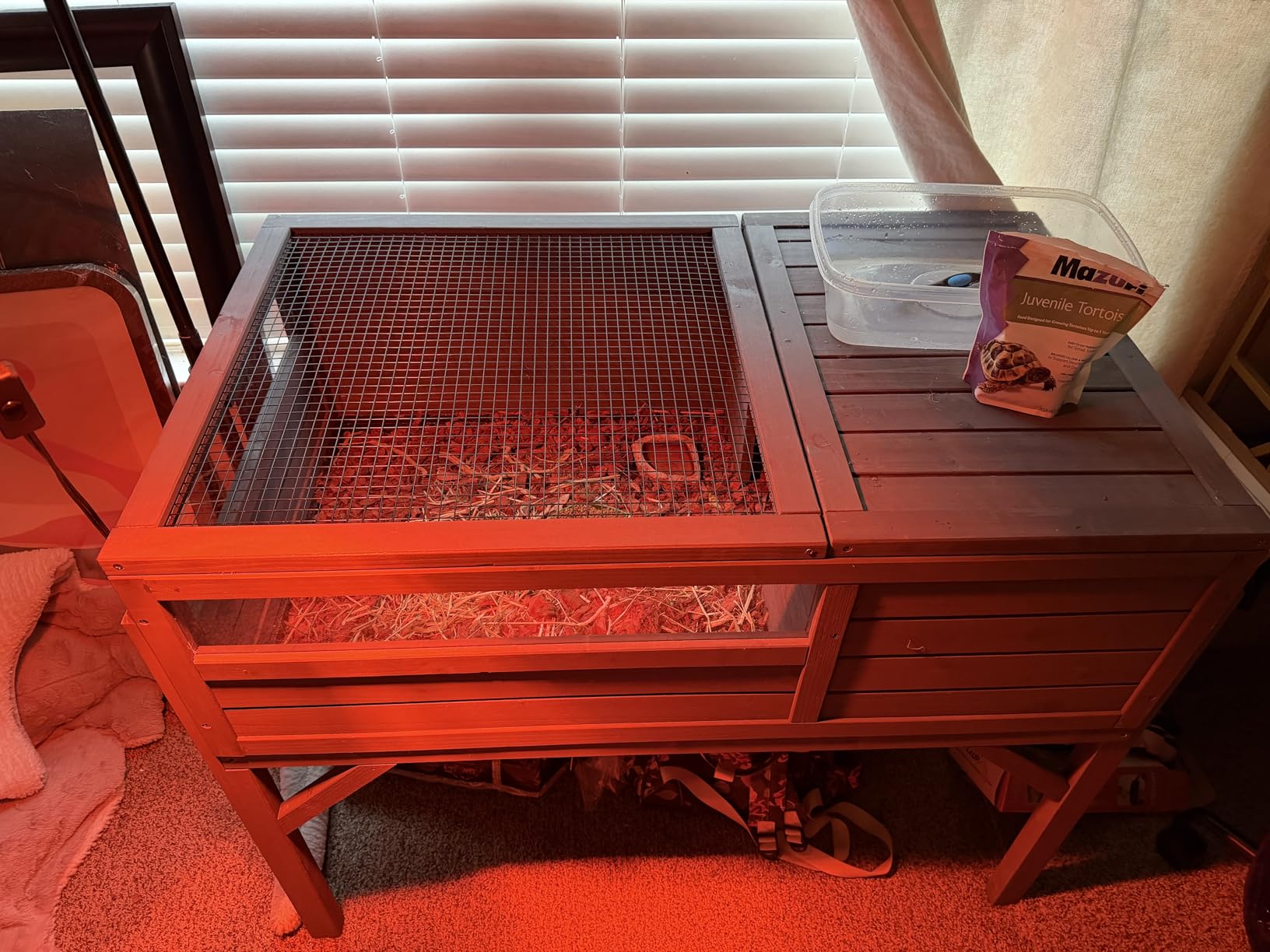 Aivituvin Tortoise Habitat Turtle Enclosure, Wooden Tortoise House Reptile Cage for Small Animals Indoor-Outdoor, Adjustable Lamp Holder Included customer photo 2