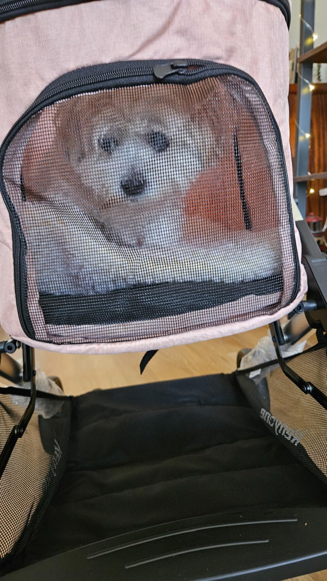 Kenyone Pet Stroller for Medium Dogs Up to 55lbs, Lightweight Aluminum Frame, One Click Folding, Large Cat Stroller with No Zip Entry, Detachable Mesh, Multiple Pockets customer photo 2