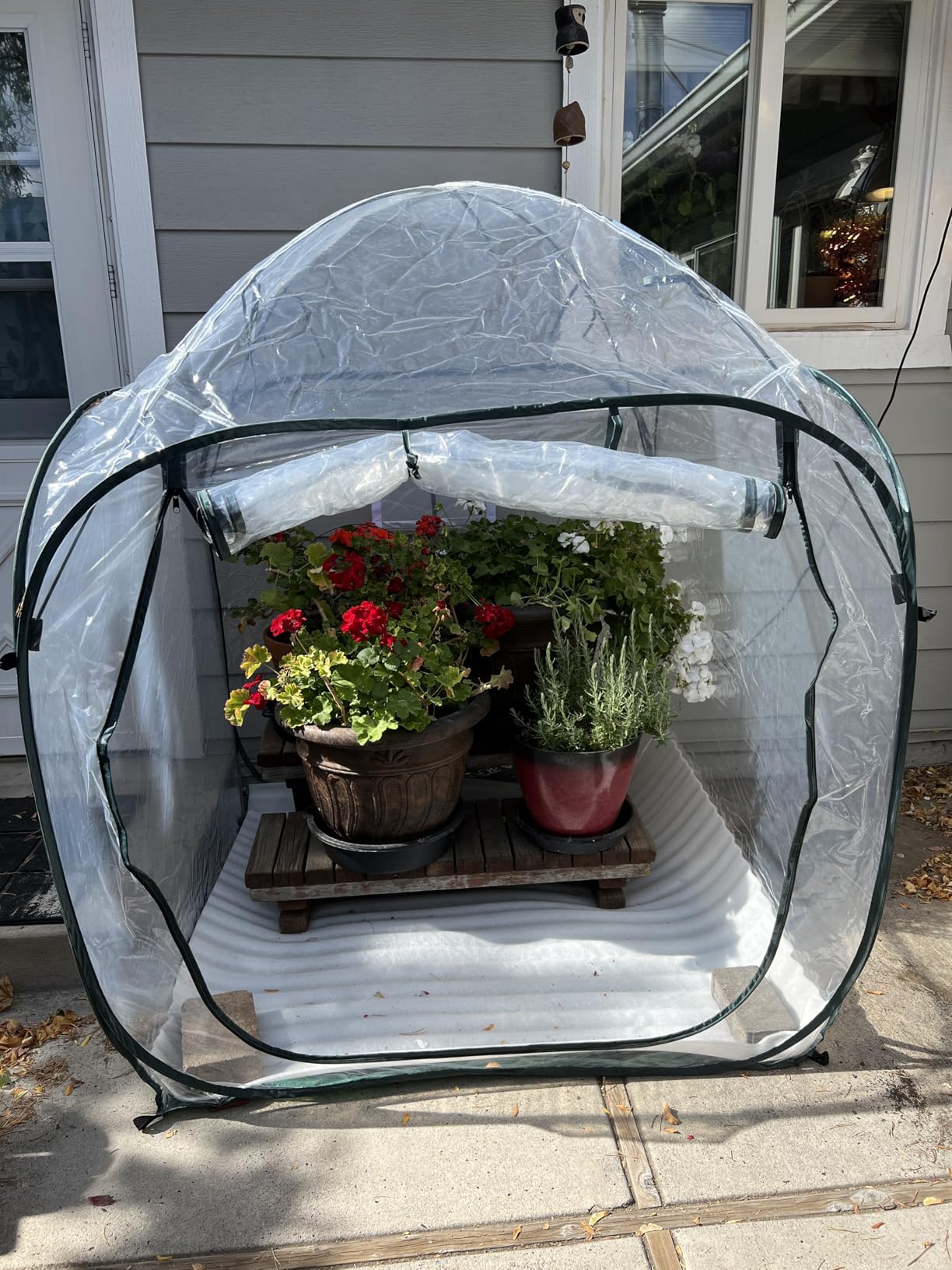 VIVOSUN 39x39x63-Inch Portable Walk-in Greenhouse, with PVC Cover & Detachable Base, Instant Pop-up and Folding, Mini Greenhouse with Roll-Up Door & Mesh Window for Indoor Outdoor, Wind Ropes Included customer photo 1