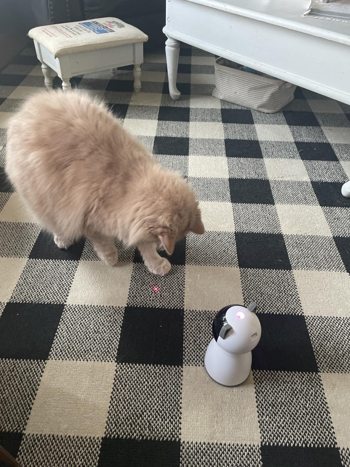 YVE LIFE Laser Cat Toys for Indoor Cats, The 4th Generation Real Random Trajectory Motion Activated Rechargeable Automatic Cat Laser Toy, Interactive Cat Toys for Bored Indoor Cats/Kittens (Gray) customer photo 1