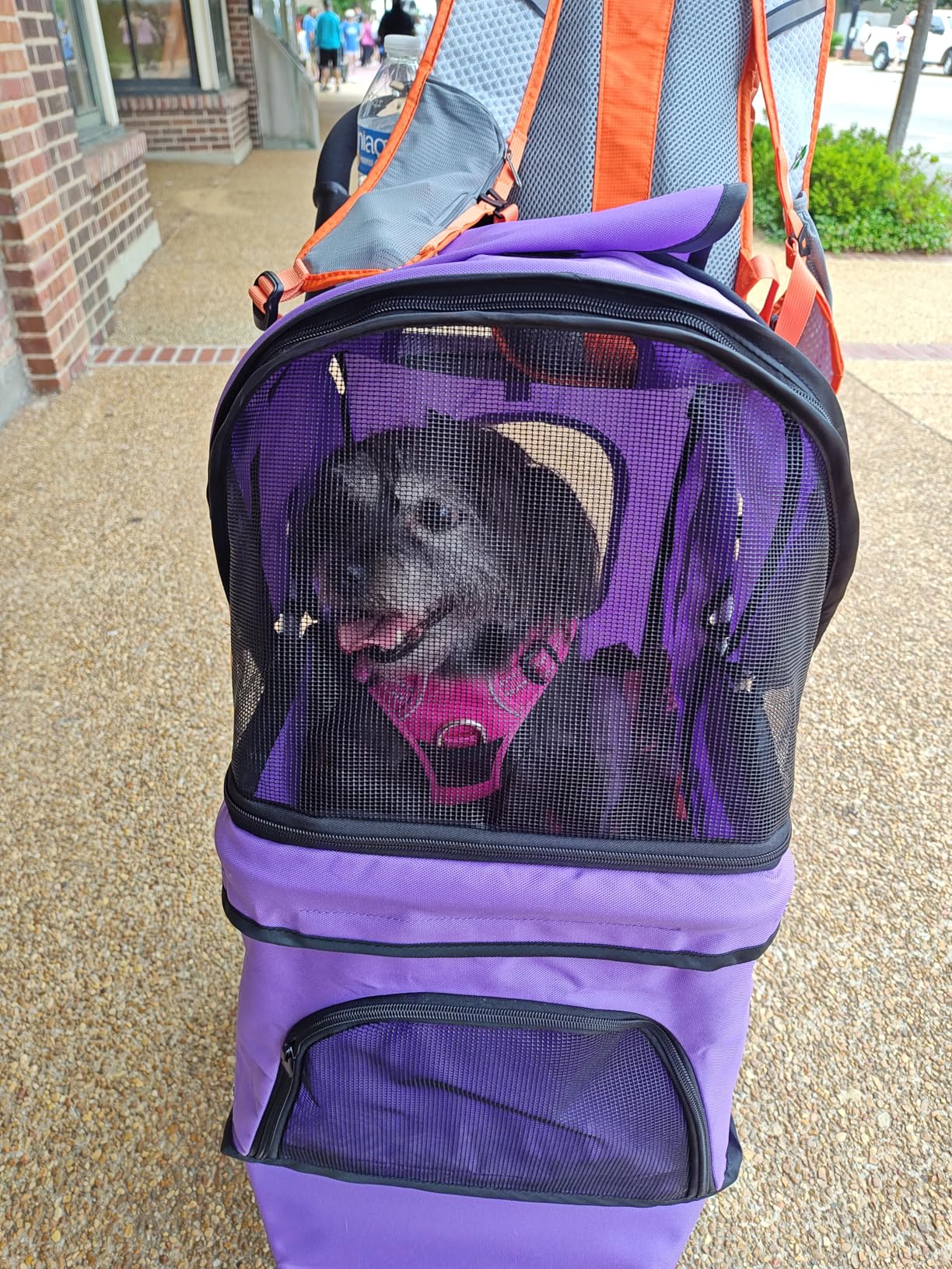 MoNiBloom Foldable Pet Stroller with Weather Cover, 3 Wheels Pet Strolling Cart for Small/Medium Dogs and Cats with Storage Basket and Cup Holder, Breathable and Visible Mesh for All-Season, Black customer photo 1