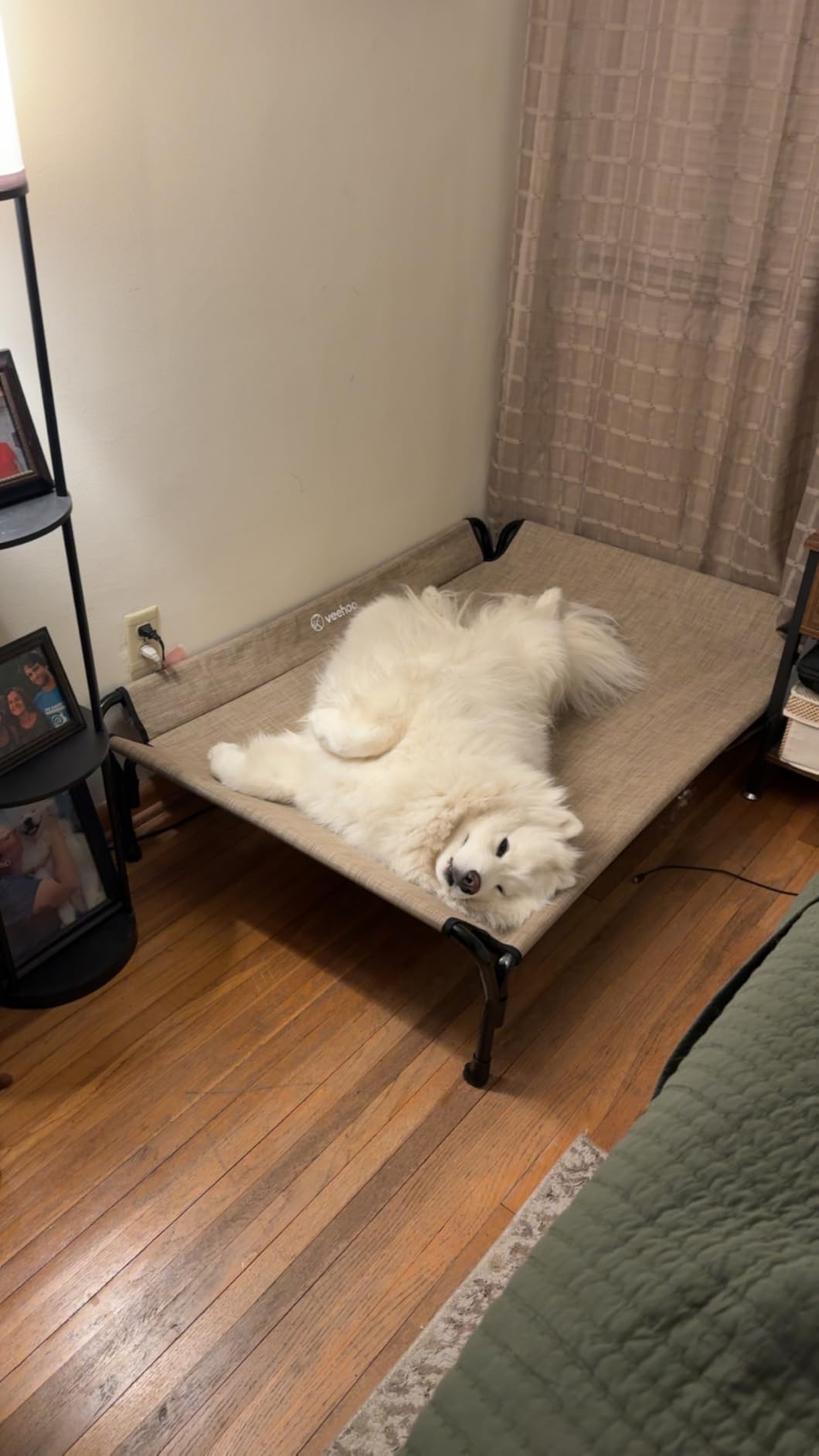 Veehoo Cooling Elevated Dog Bed, Raised Pet Cot with Guardrail & Slope Headrest, Durable & Breathable Teslin Mesh, Non-Slip Feet, Washable Dog Sofa Bed for Indoor & Outdoor, Large 47