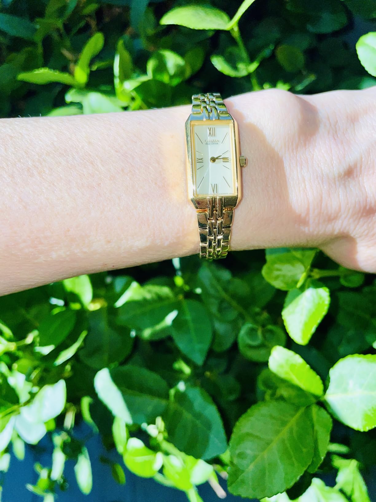 Citizen Ladies' Eco-Drive Classic Dress Corso customer photo 1