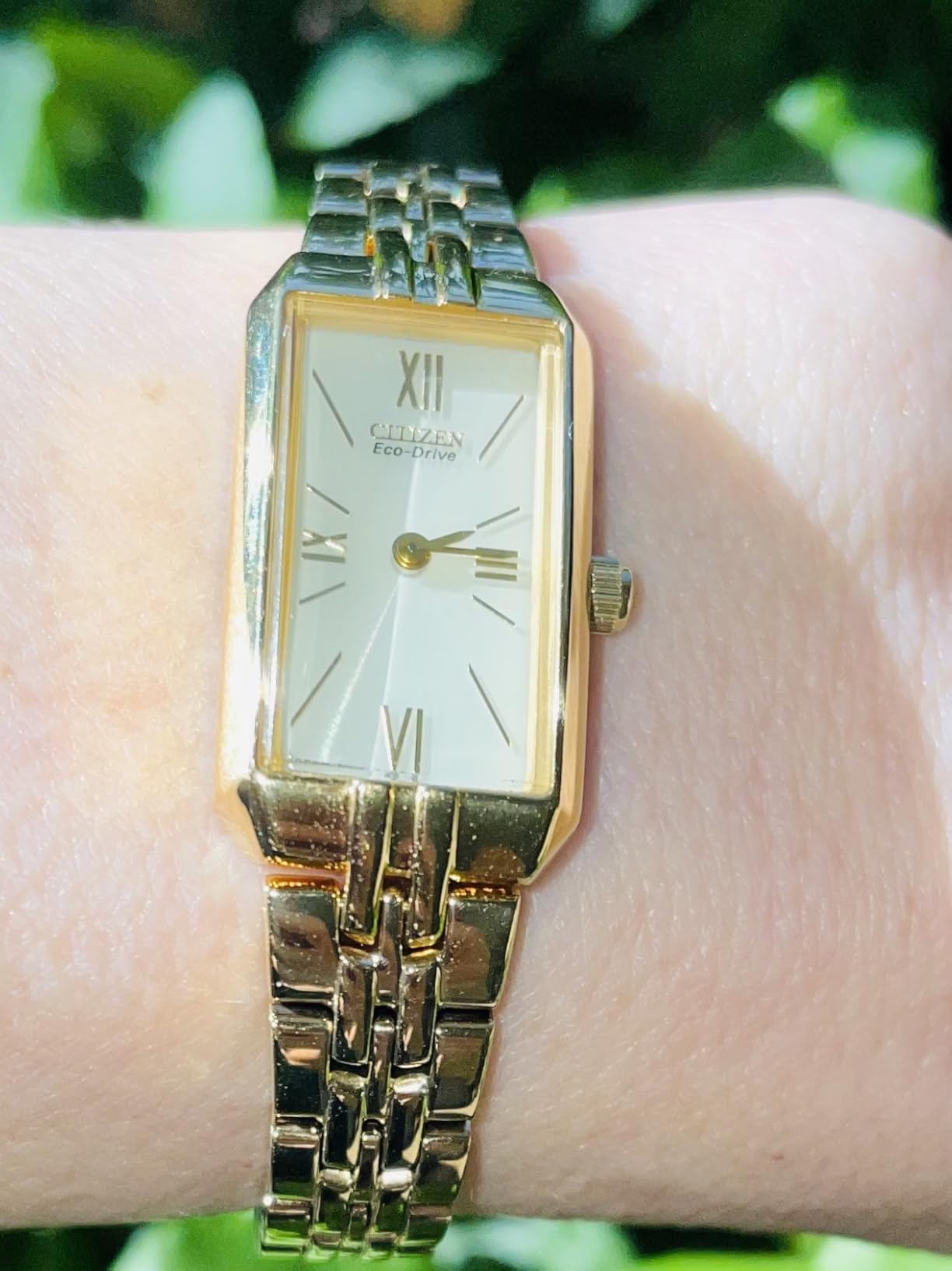 Citizen Ladies' Eco-Drive Classic Dress Corso customer photo 2