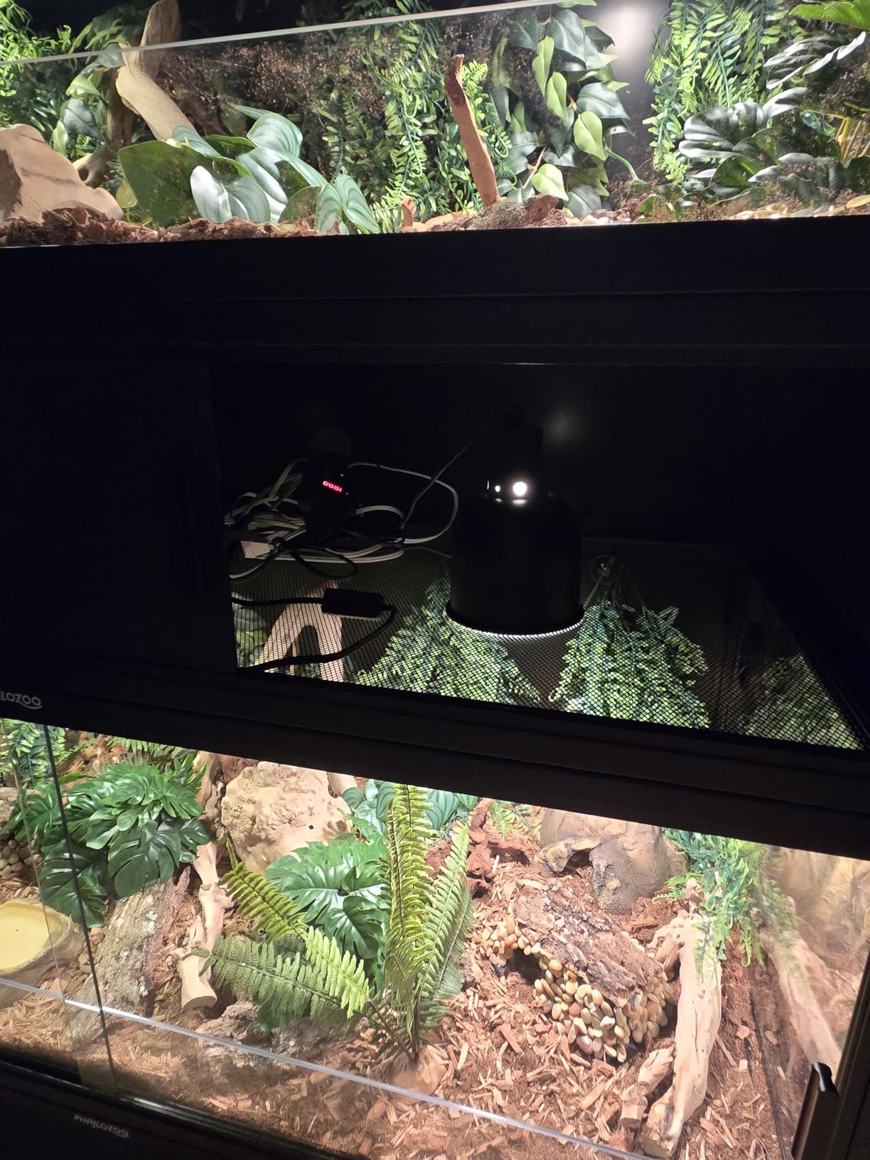 Phailozoo Stackable Reptile Enclosure, 85 Gallon Reptile Tank for Bearded Dragon, Snake, Ball Python, Colorful Aluminum Frame & Front Opening Tempered Glass Door with Handles for Easy Maintenance customer photo 1