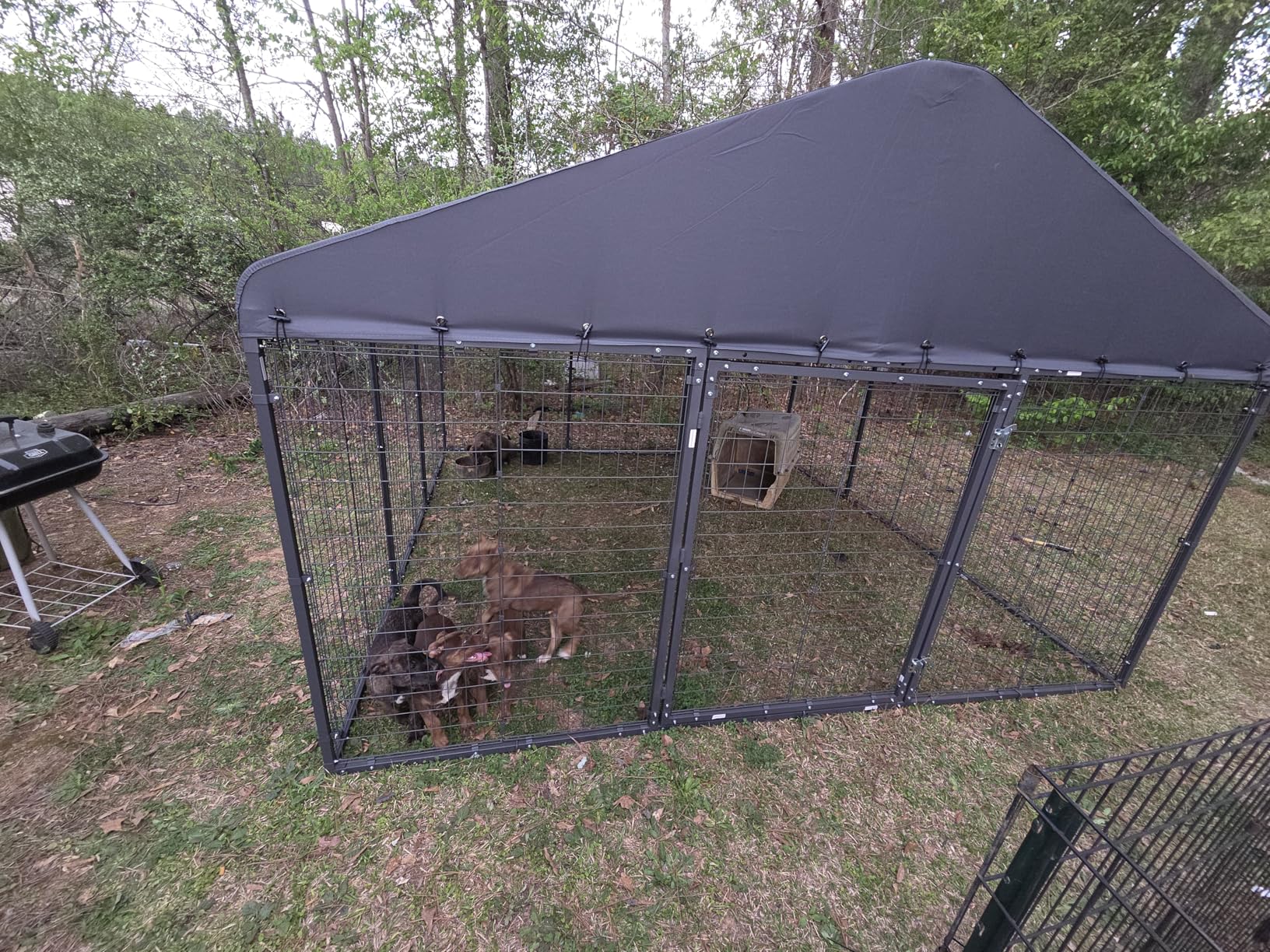 Dog Kennel Outdoor, 10x10x6 FT Heavy Duty Dog Pens Outside with UV & Water Resistant Roof, Large Dog Fence for Yard Metal Chicken Run with Double Locks customer photo 2