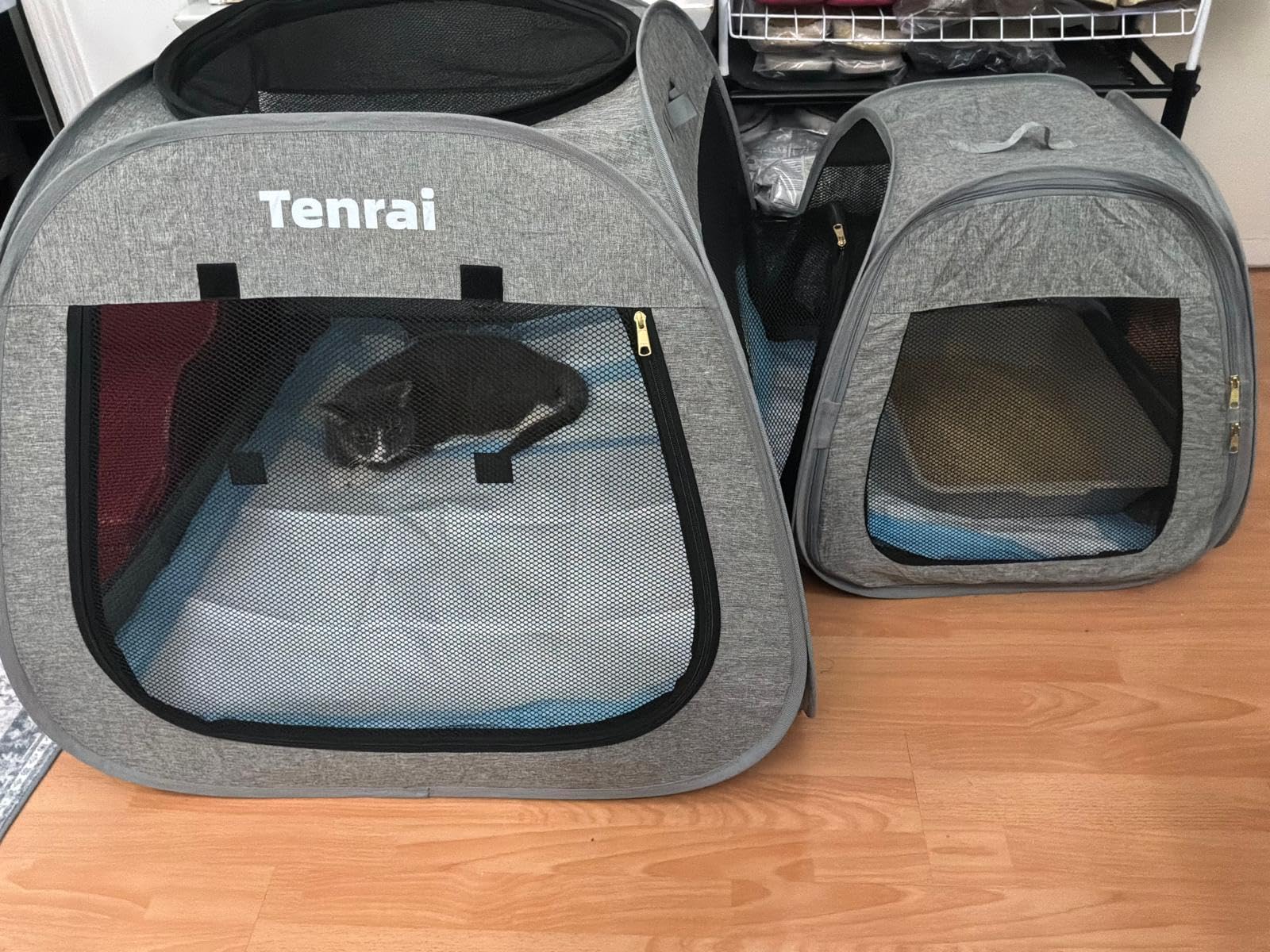 Tenrai Portable Cat Playpen, Trapezoidal Design for Better Standing, Foldable Pet Tent for Indoor and Outdoor Use of Kitten and Puppy, Dog Play Enclosure, Cat Houses & Condos customer photo 1