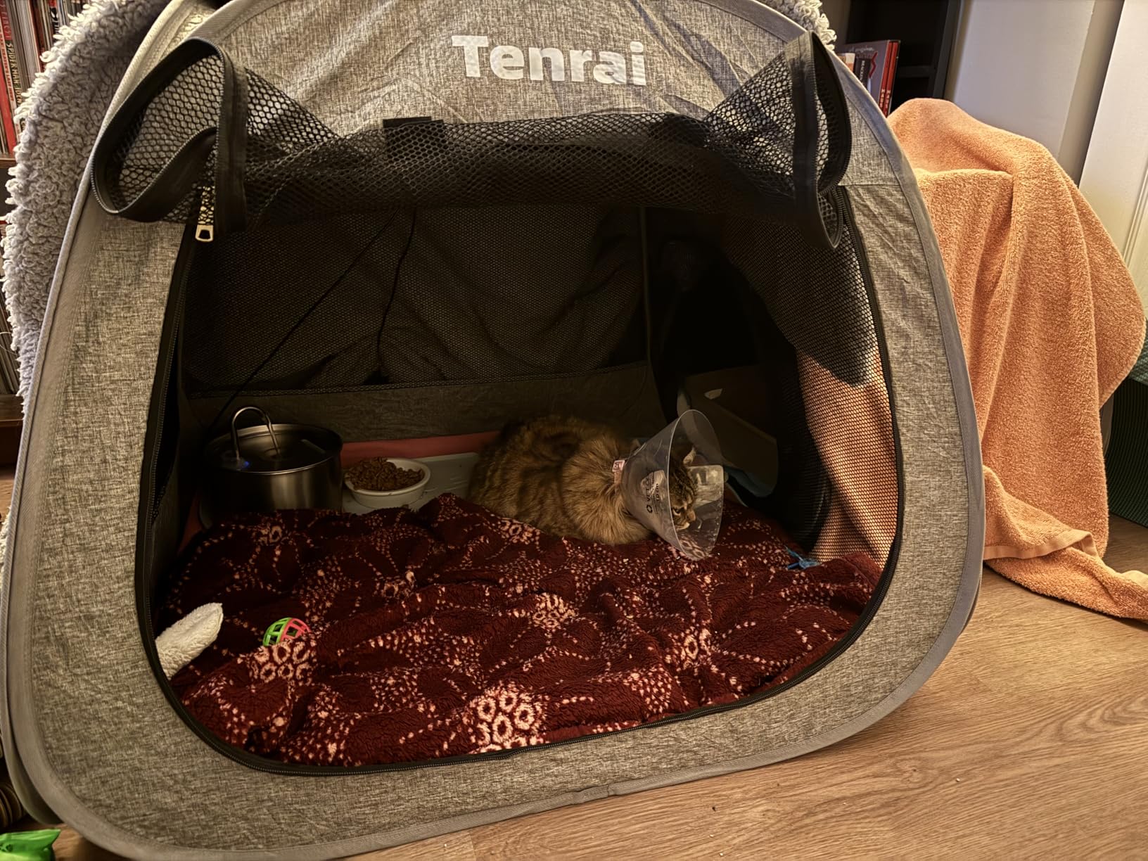 Tenrai Portable Cat Playpen, Trapezoidal Design for Better Standing, Foldable Pet Tent for Indoor and Outdoor Use of Kitten and Puppy, Dog Play Enclosure, Cat Houses & Condos customer photo 2