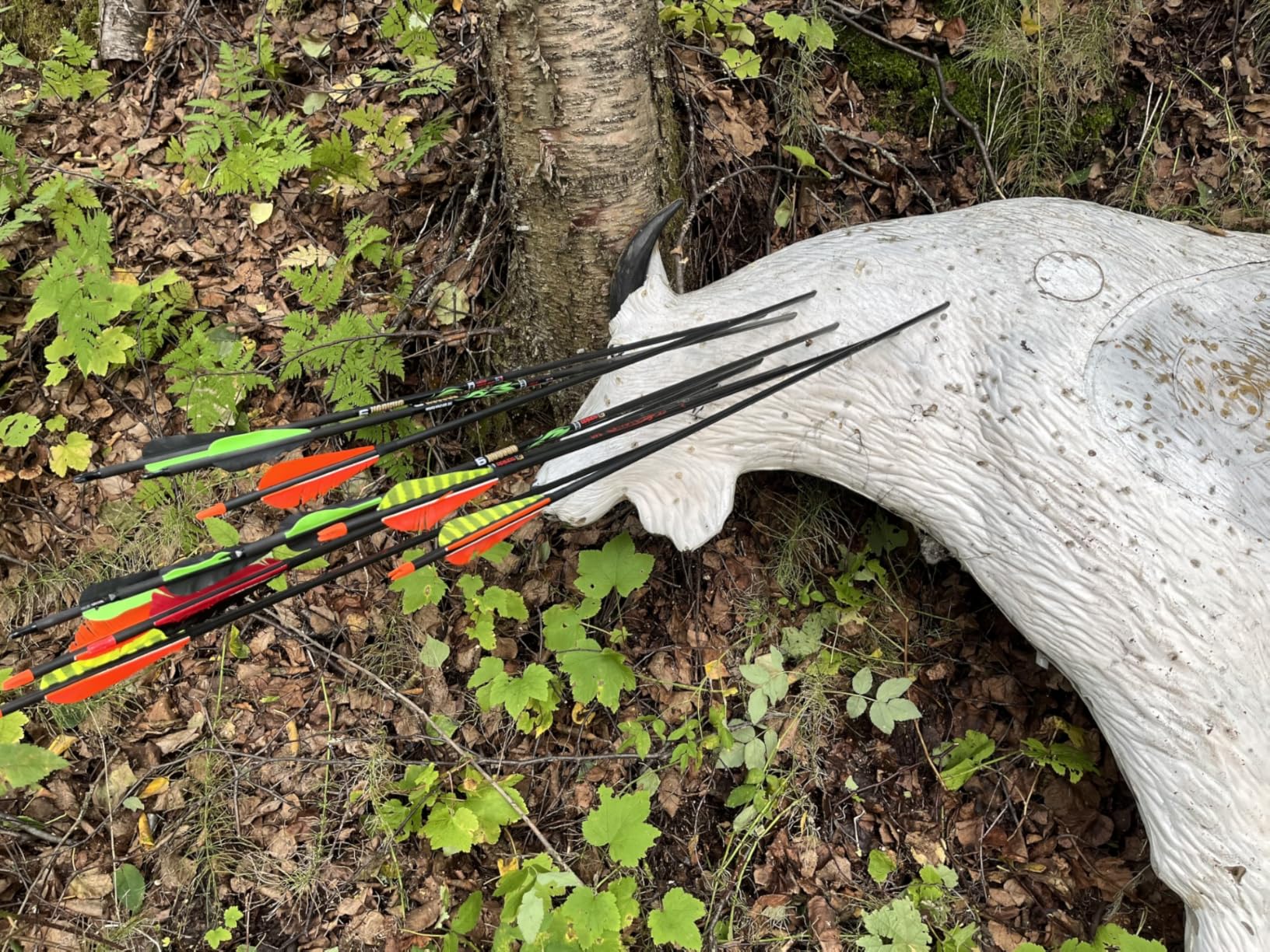 Sanlida Dragon X9 Ready to Hunt Compound Bow Package for Adults, 0-70 Lbs Draw Weight customer photo 2