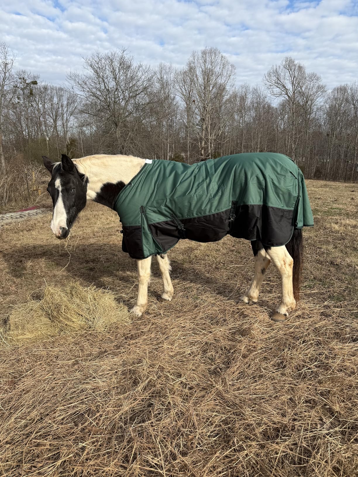 1200D Ripstop Waterproof Breathable Horse Blanket (0g No Fill), Lightweight Turnout Rain Sheet, Keeps Dry in Mud & Wet Weather Blueblack 81