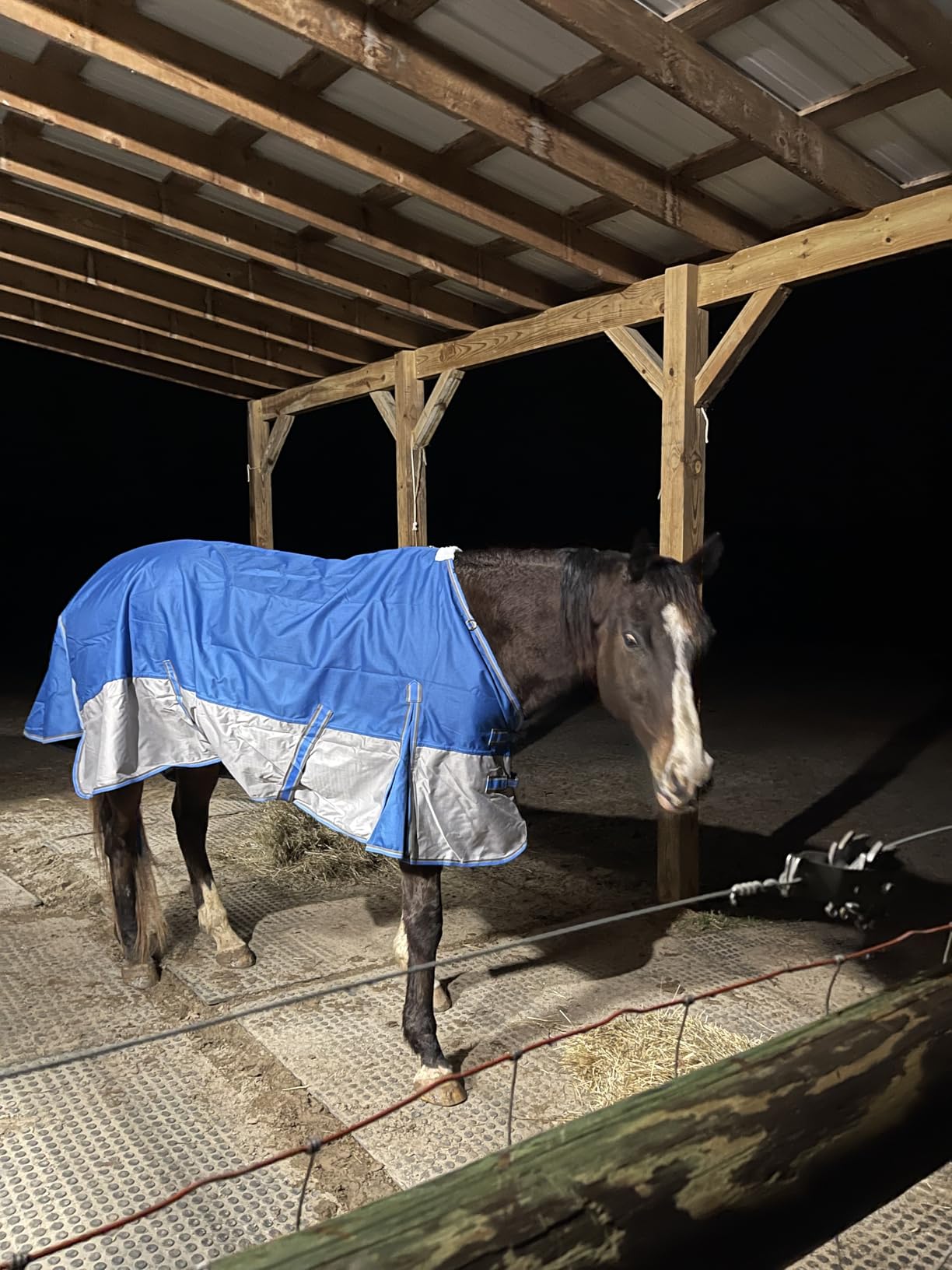1200D Ripstop Waterproof Breathable Horse Blanket (0g No Fill), Lightweight Turnout Rain Sheet, Keeps Dry in Mud & Wet Weather Blueblack 81