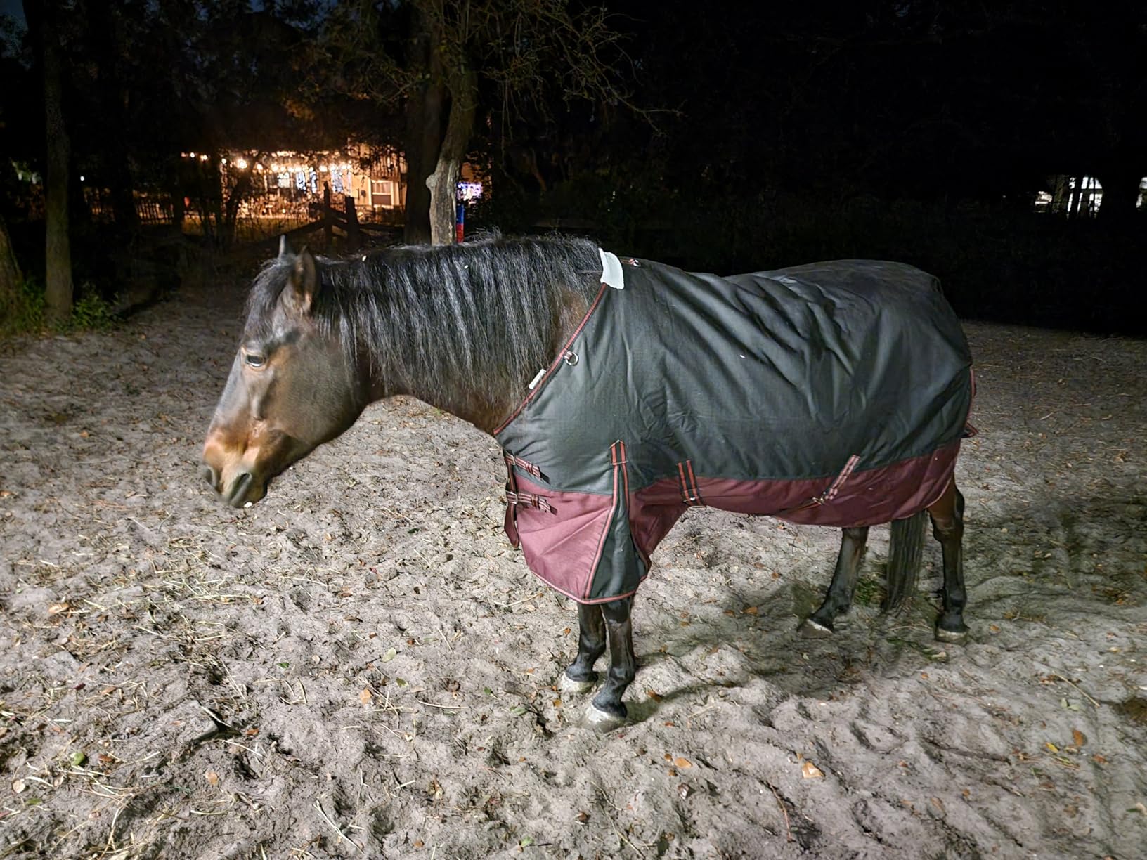 LEAFOREST 1200D Horse Blanket Waterproof Breathable Turnout (no Filling) Standard Neck Horse Sheet Pink Grey 75IN customer photo 1