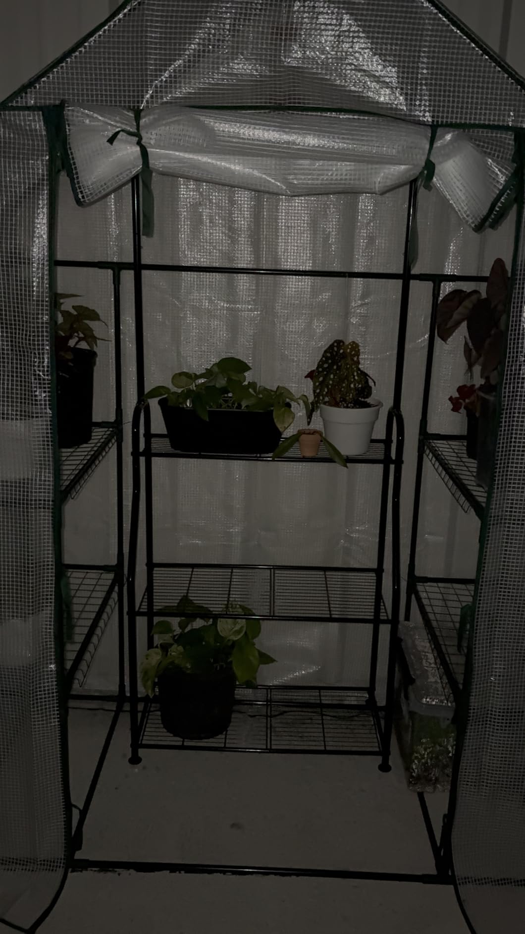 Greenhouse, Portable Mini Walk-in Green House for Outdoors with Roll-up Zipper Door, Anchors, and UV-Resistant Cover customer photo 2