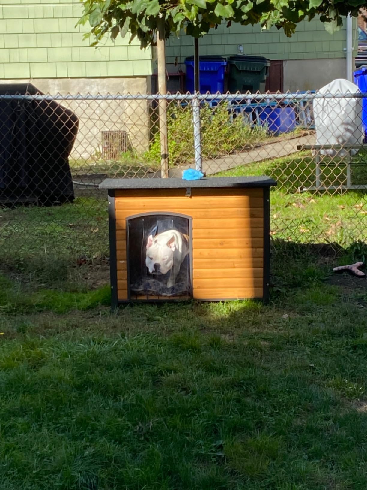 Aivituvin Heated Dog House Outdoor & Indoor Dog Kennel with Insulated Liner & Heating System for Winter Waterproof Large Dog Cage, Unique All-Around Iron Frame customer photo 2