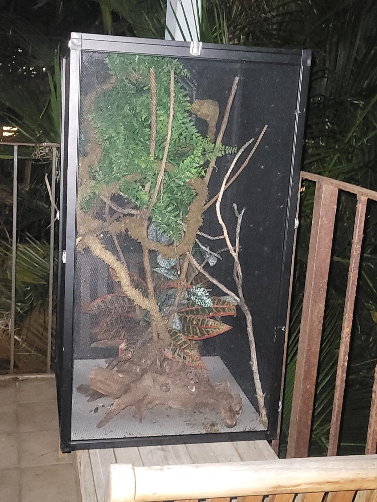 13 Gal Detachable and Foldable Reptile Butterfly Cage Terrarium, 360° Observation, Airflow, Interaction in Gecko Tank for Crested Geckos, Leopard Geckos, Chameleons, Bearded Dragons customer photo 1