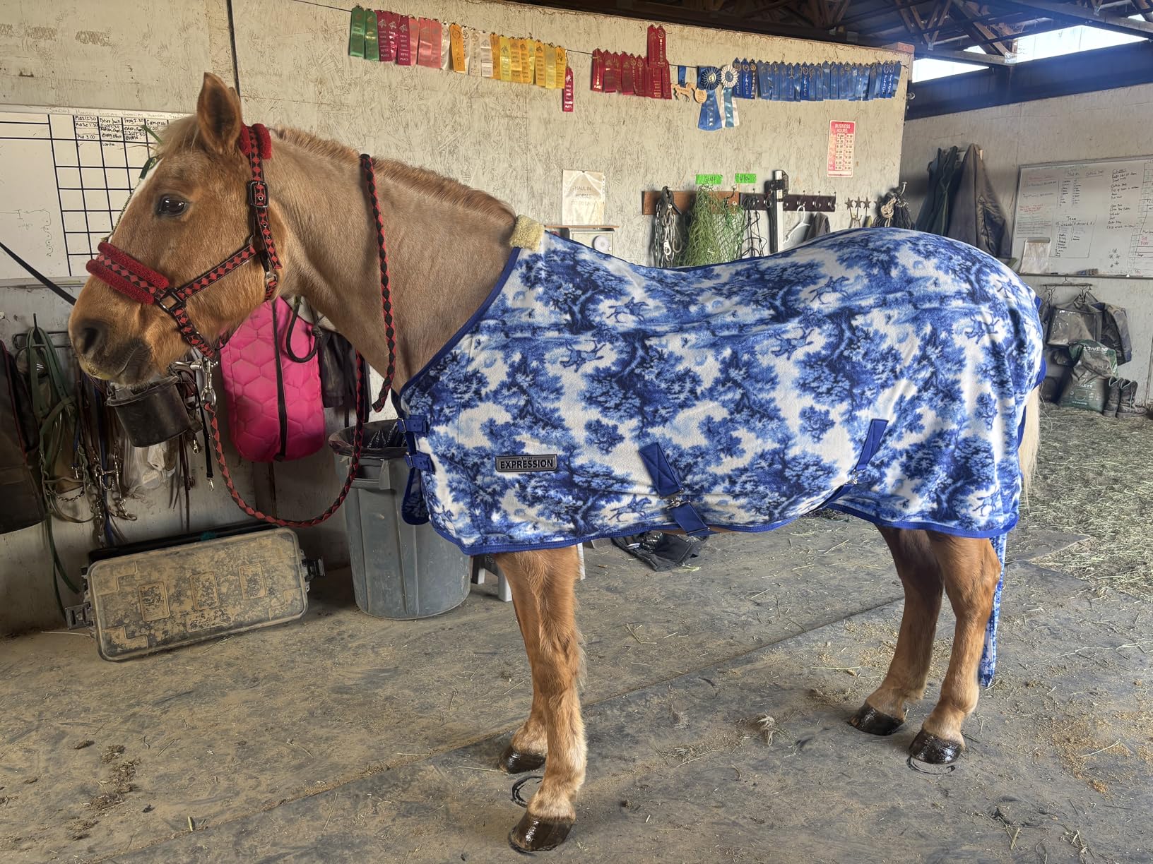 Jeffers Equine Elite Fleece Horse Cooler Blanket, 78 Inch - Soft, Adjustable Fit, Lightweight, Easy Care, Moisture Wicking Cooling Sheet with Surcingle for Post Exercise, Travel for Horses - Navy customer photo 2