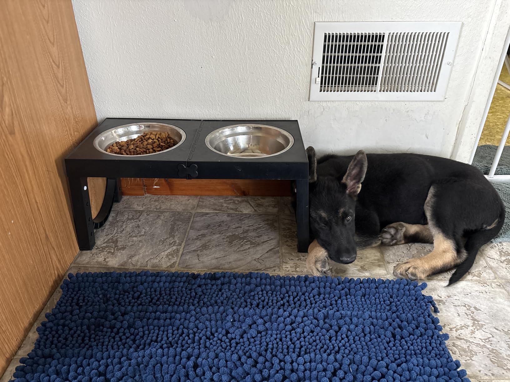 XIAZ Elevated Dog Bowls Large Breed Raised Dogs Bowl Stand, 5 Heights Adjustable, Black customer photo 2