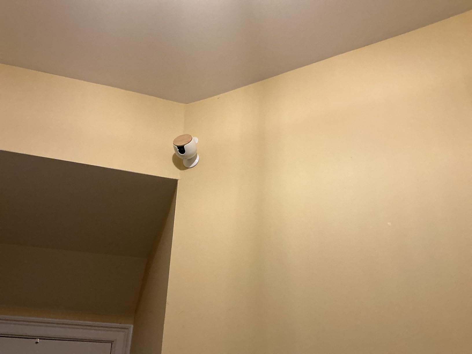 Furbo Mini Pet Camera: Home Security with Dog & Cat Safety Alerts, 2-Way Audio, Mountable Smart Cam (Subscription Required) customer photo 1