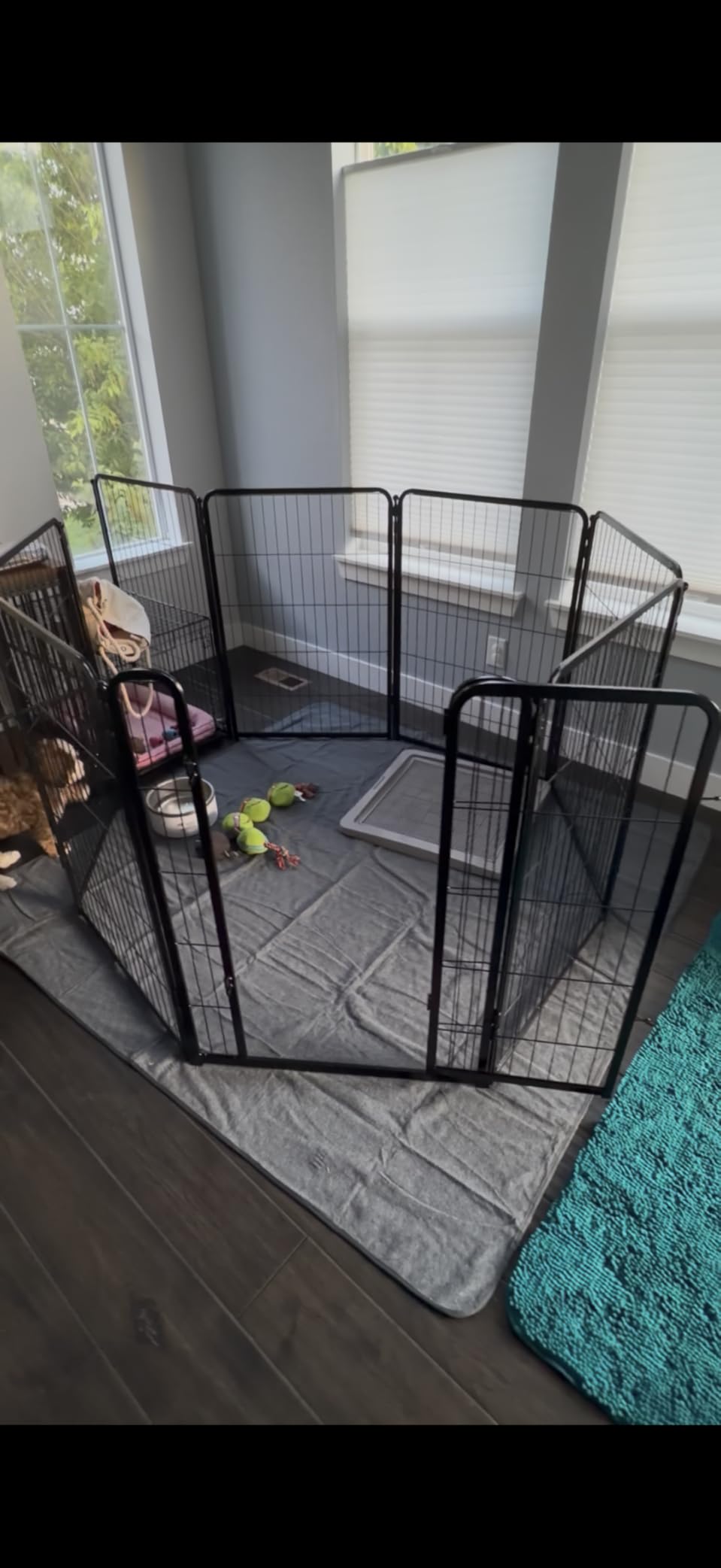 FXW Homeplus Unleashed Indoor Dog Playpen - Stress-Free and Safe Play, Heavy Duty 40 Inch 8 Panels Dog Pen for Medium and Large Dogs, Black customer photo 1