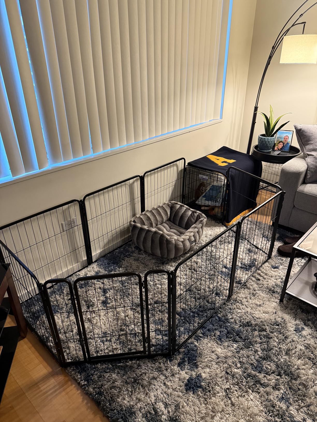 FXW Homeplus Unleashed Indoor Dog Playpen - Stress-Free and Safe Play, Heavy Duty 40 Inch 8 Panels Dog Pen for Medium and Large Dogs, Black customer photo 2
