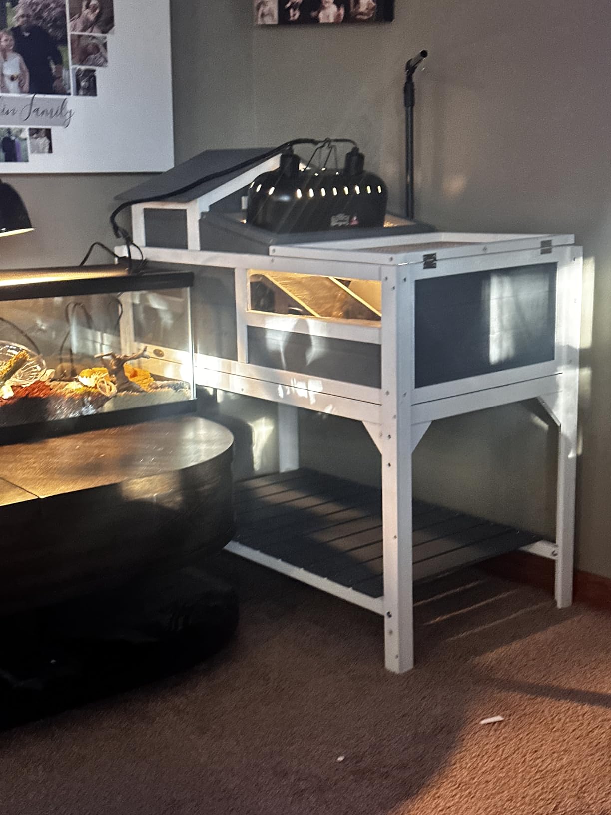 PawHut Tortoise Habitat with Adjustable Lamp Holder, 2 Layer Tortoise Enclosure with Storage Shelf, Removable Main House, Fixed Tray, Openable Lid, Gray customer photo 1