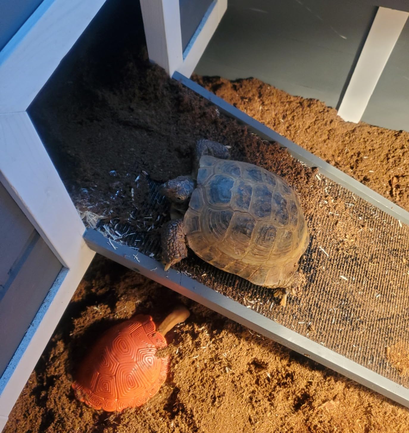 PawHut Tortoise Habitat with Adjustable Lamp Holder, 2 Layer Tortoise Enclosure with Storage Shelf, Removable Main House, Fixed Tray, Openable Lid, Gray customer photo 2