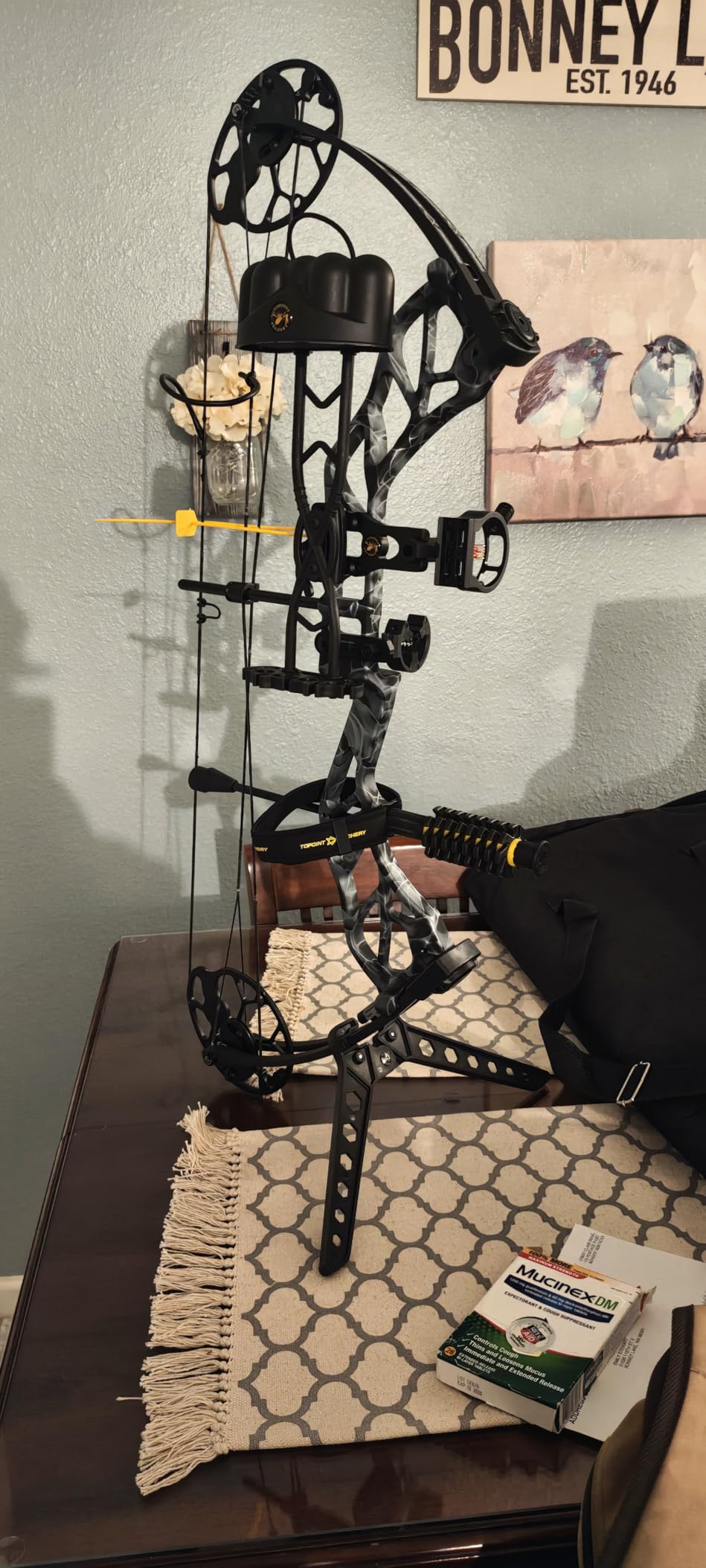Topoint Archery Compound Bow Pro Set Easy to Adjust No Bow Press Needed Bow and Arrow Set 19-31