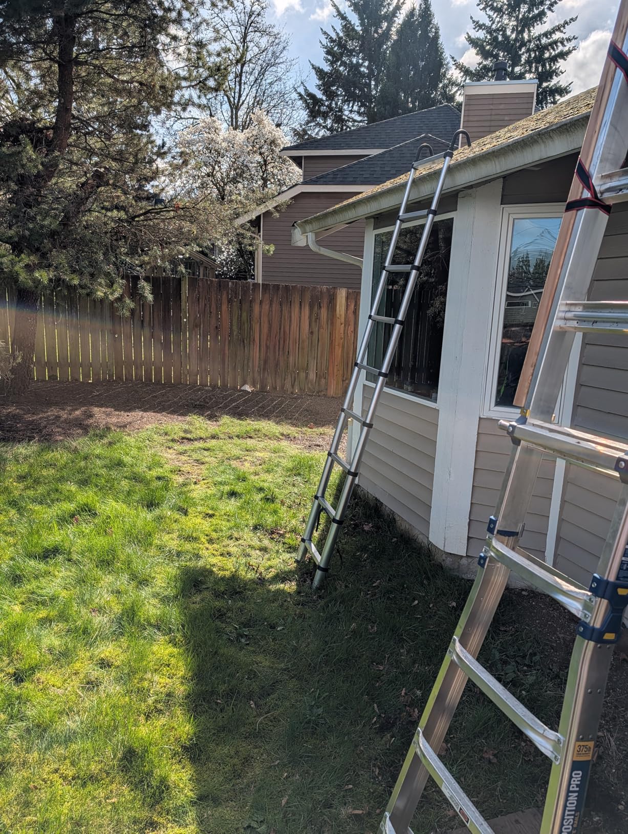 RIKADE Telescopic Ladder, 20.3 ft Aluminum Telescoping Ladder with Stable Hook and Non-Slip Feet, Portable Extension Ladder for Household and Outdoor Working, Max Load 330 lb, Black customer photo 2