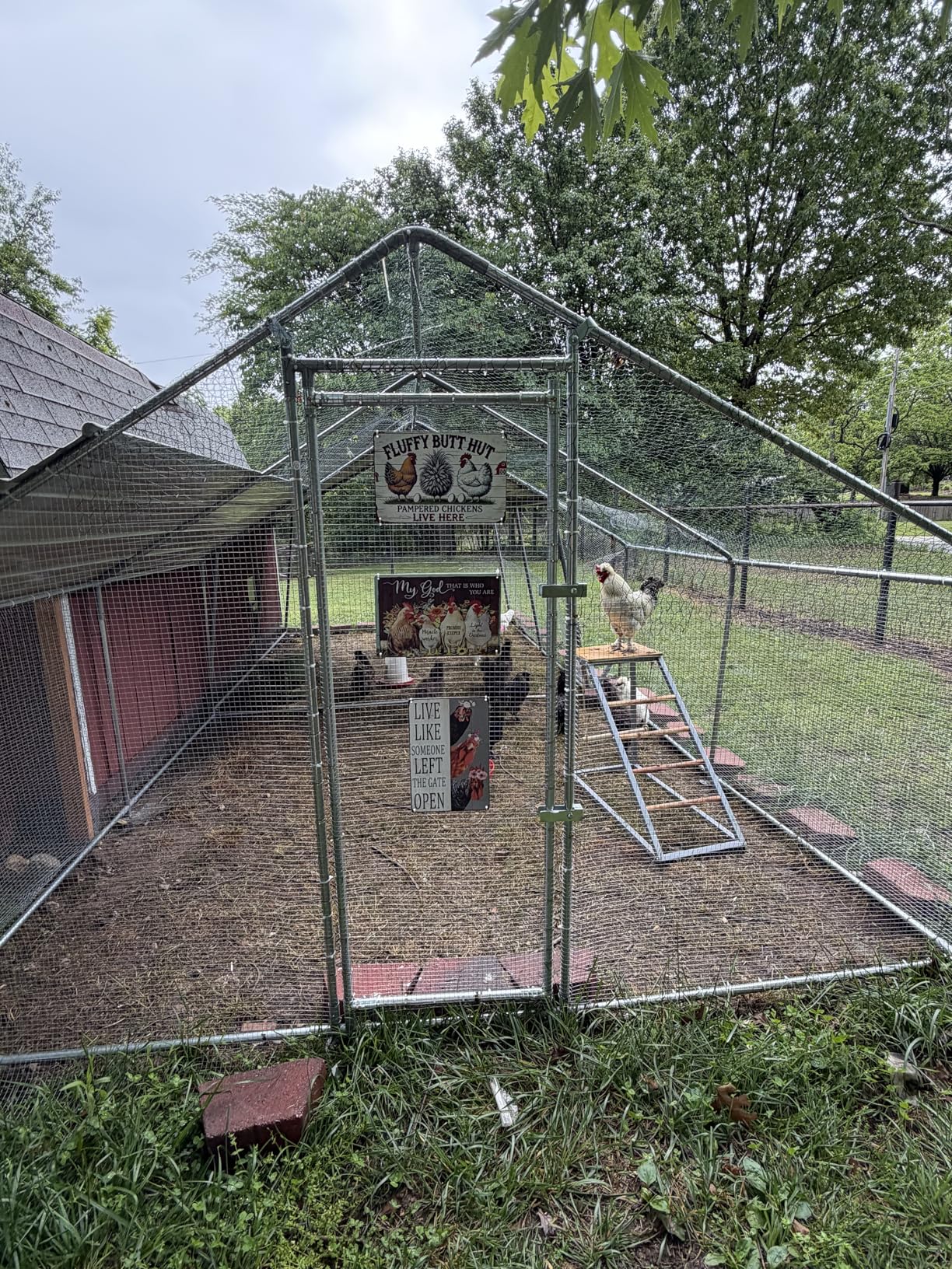 VEVOR Large Metal Chicken Coop, 19.7x9.8x6.5ft Walk-in Chicken Runs for Yard with Cover, Spire Roof Hen House with Security Lock for Outdoor and Backyard, Farm, Duck Rabbit Cage Poultry Pen customer photo 1