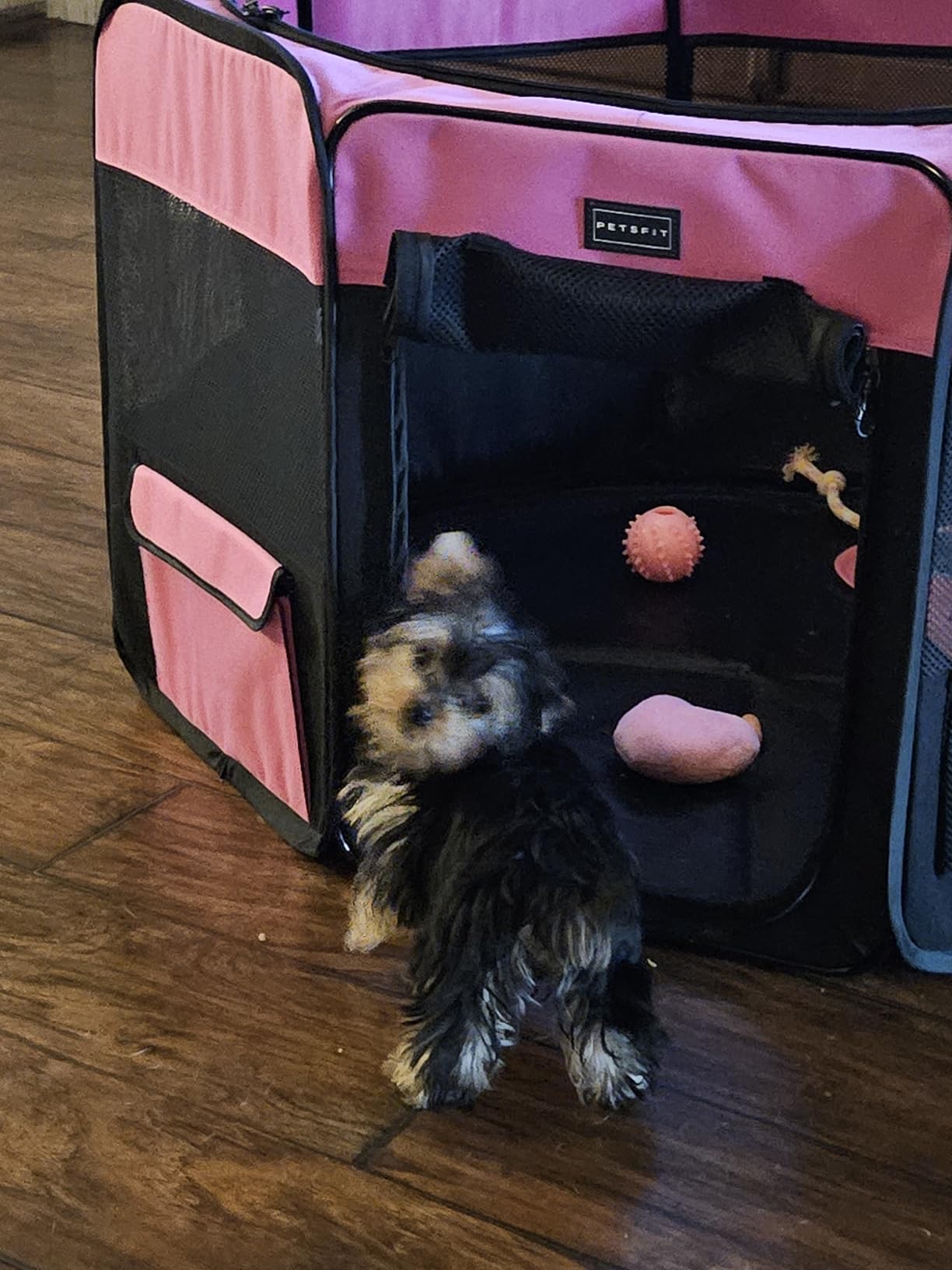 PETSFIT 45.5