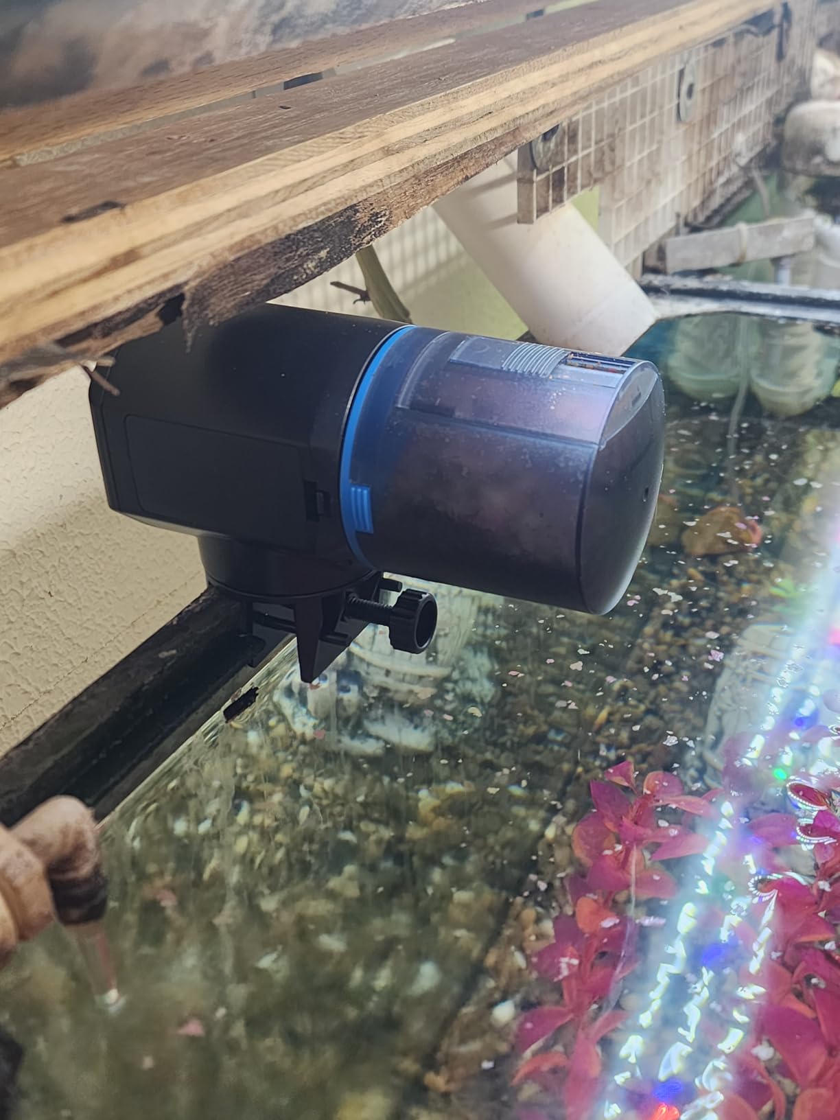 FISHNOSH Automatic Fish Feeder for Aquarium with Digital Thermometer - 2026 Auto Fish Food Dispenser Programmable, Vacation Feeder for Fish, Adjustable Portions, Auto Fish Feeder for Small & Big Tanks customer photo 1