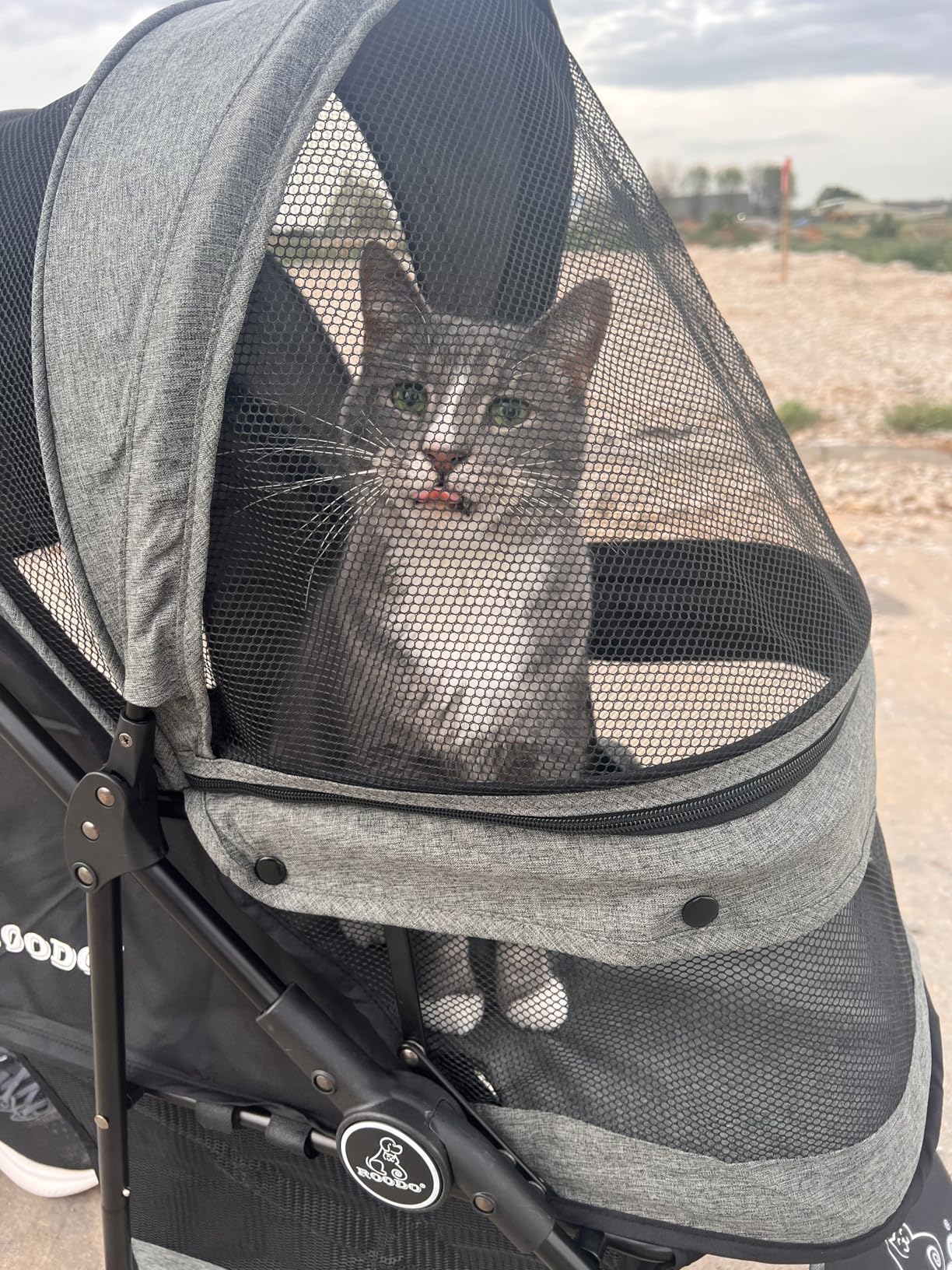 ROODO 3 Wheel Dog Pet Cat Stroller Best Lightweight Foldable Compact Portable Jogger All Terrain Travel Pet Gear Puppy Kitty Stroller for up to 30lbs Medium Small Dogs and Cats, Light Khaki customer photo 1