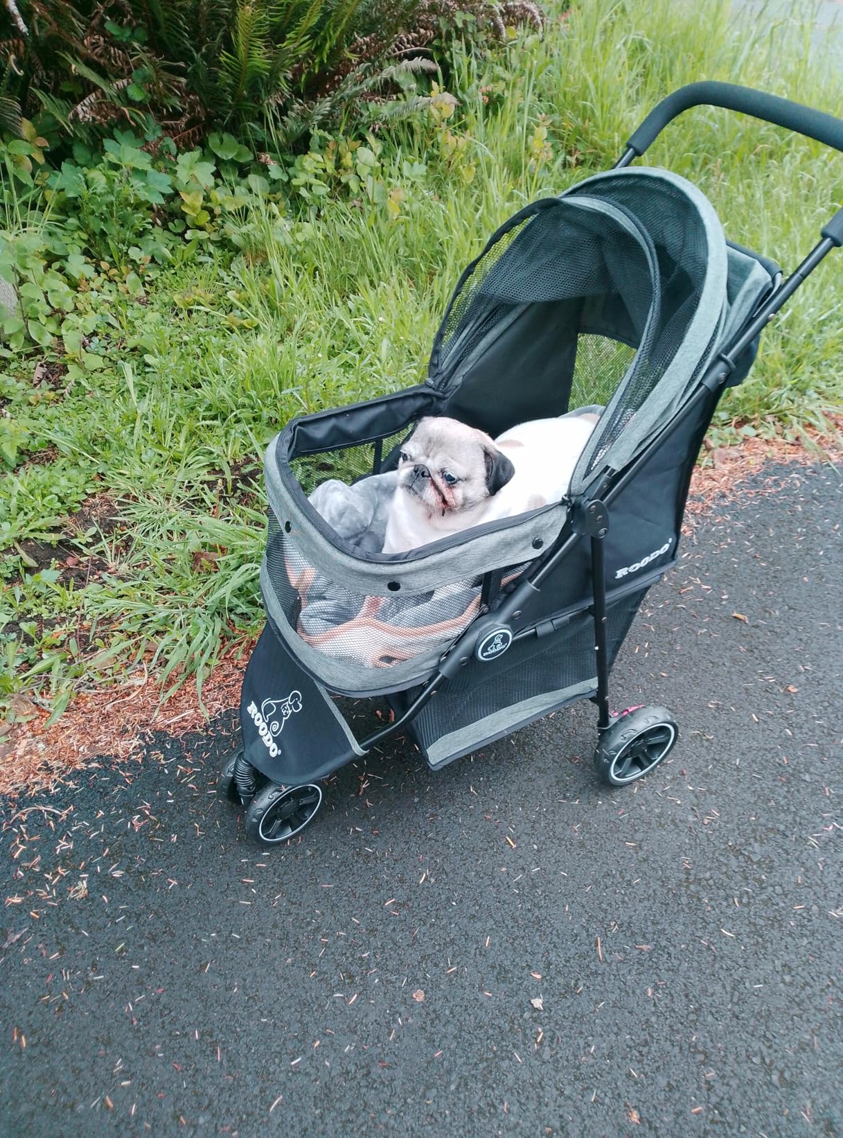 ROODO 3 Wheel Dog Pet Cat Stroller Best Lightweight Foldable Compact Portable Jogger All Terrain Travel Pet Gear Puppy Kitty Stroller for up to 30lbs Medium Small Dogs and Cats, Light Khaki customer photo 2