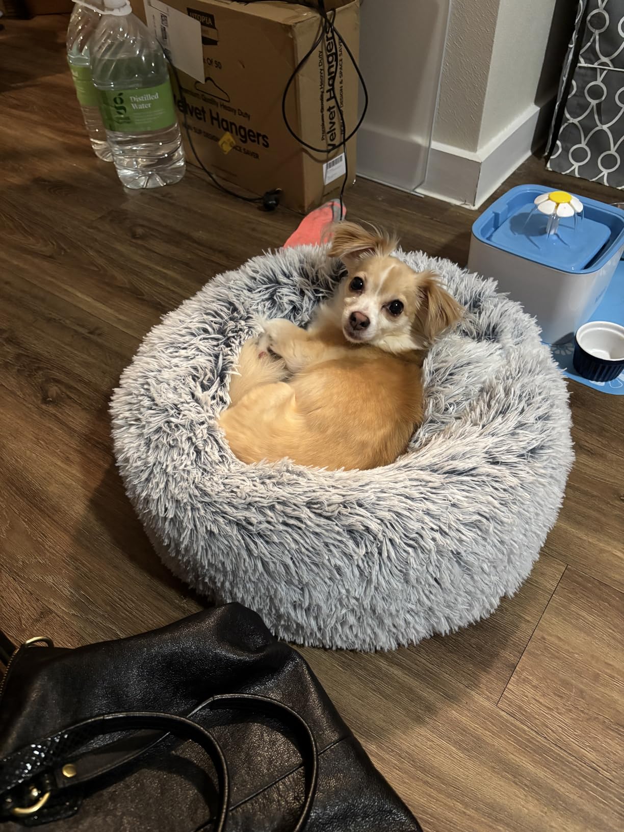 JOLLYVOGUE Calming Dog Bed Medium Size Dog, 31in Donut Washable Medium Pet Bed, Anti-Slip & Anti-Anxiety Fluffy Faux Fur Round Dogs Bed, Fits up to 45 lbs Pets (Smoke Grey) customer photo 1