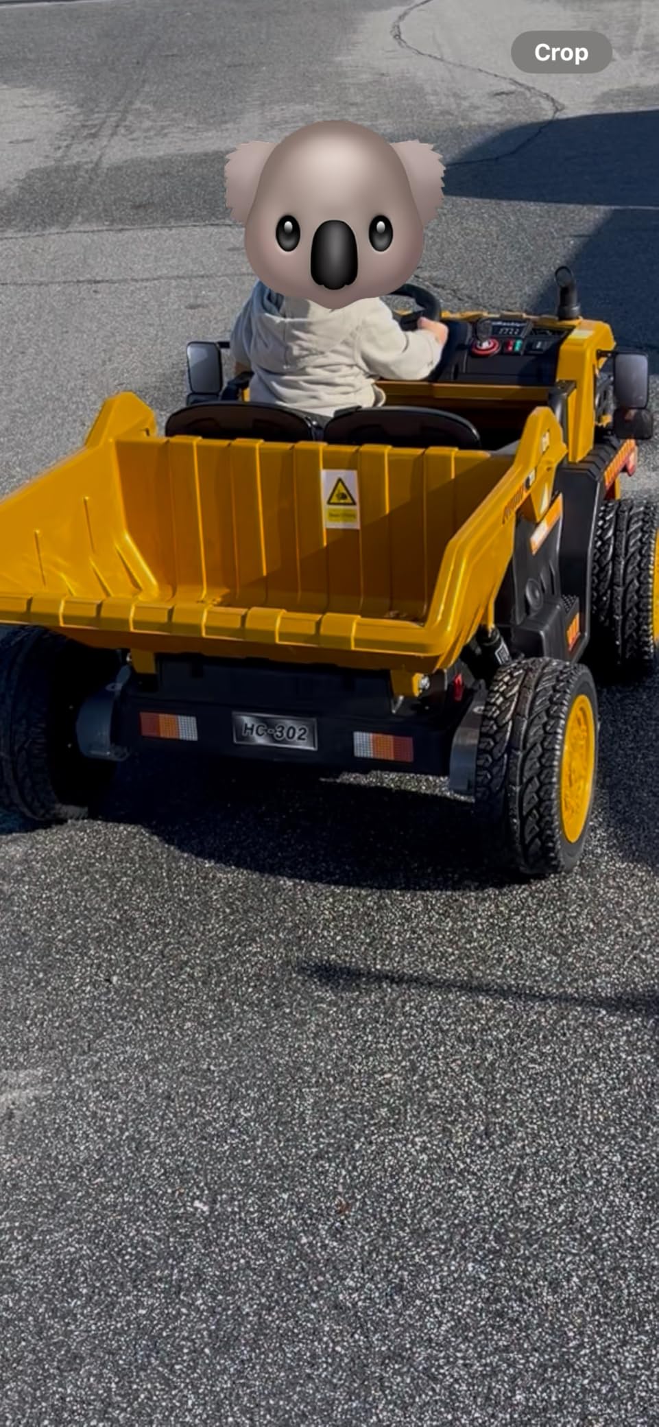 ANPABO 24V Ride On Dump Truck, 2X75W Powerful Motors, Up to 4.4Mph, EVA Tires, Construction Vehicle w/Electric Dump Bed and Extra Shovel, 19