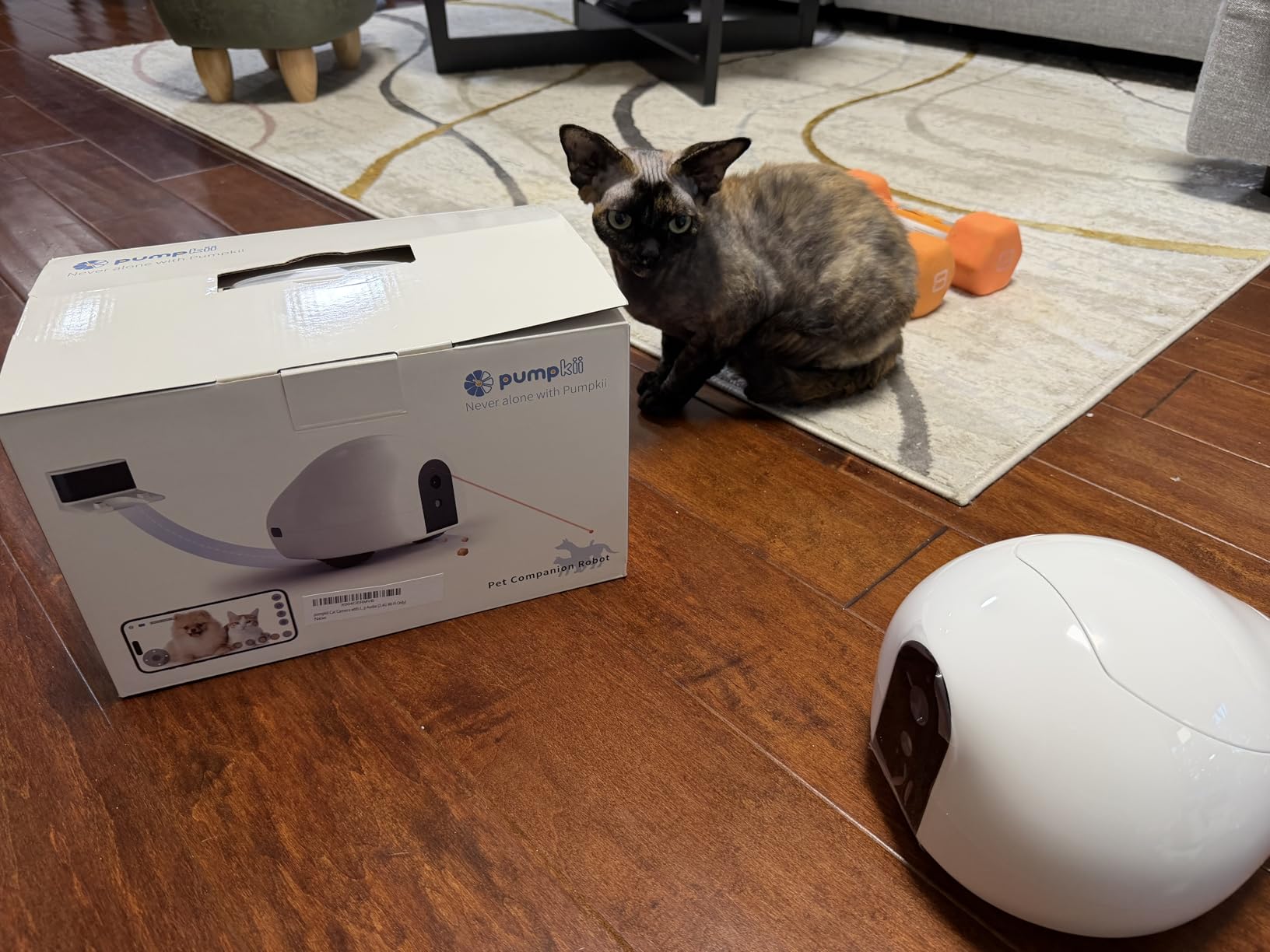 Cat Camera with Interactive Pointer Toy, Moving Robot for Dog and Cat, Mobile Pet Camera Treat Dispenser with Phone App, Auto Recharging and Night Vision, Two-Way Audio (2.4G Wi-Fi Only) customer photo 1