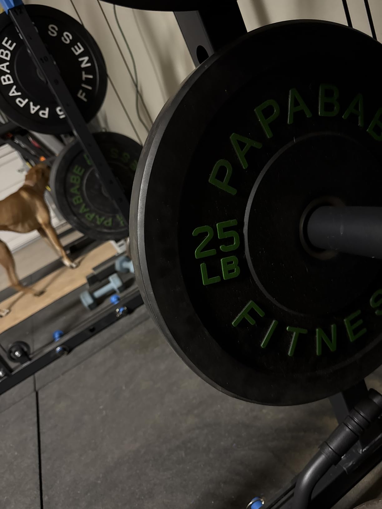 Papababe Weight Plates, 2-Inch Weights Plates Set, Floor Protective Rubber Weight Plates, 10-600lbs Bumper Plates customer photo 1