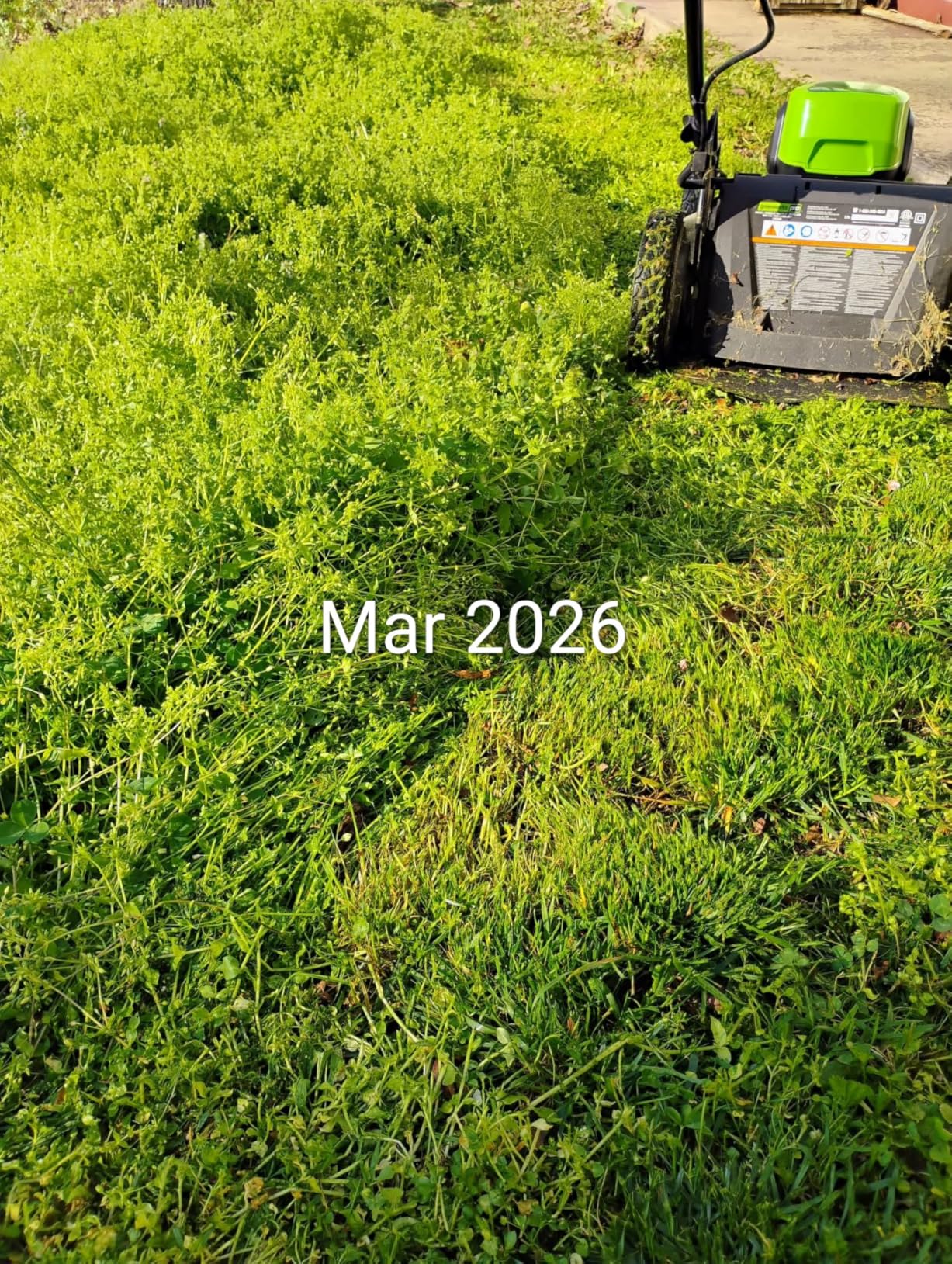 Greenworks 80V 42