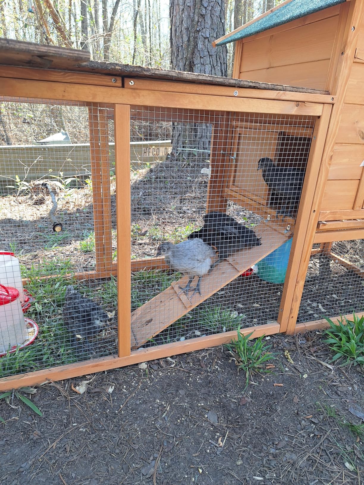 Outdoor Chicken Coop for 2-4 Chickens Wooden Hen House Poultry Pet Hutch Run Cage w/Waterproof Asphalt Roof, Ramp, Nesting Box, Wire Fence (80