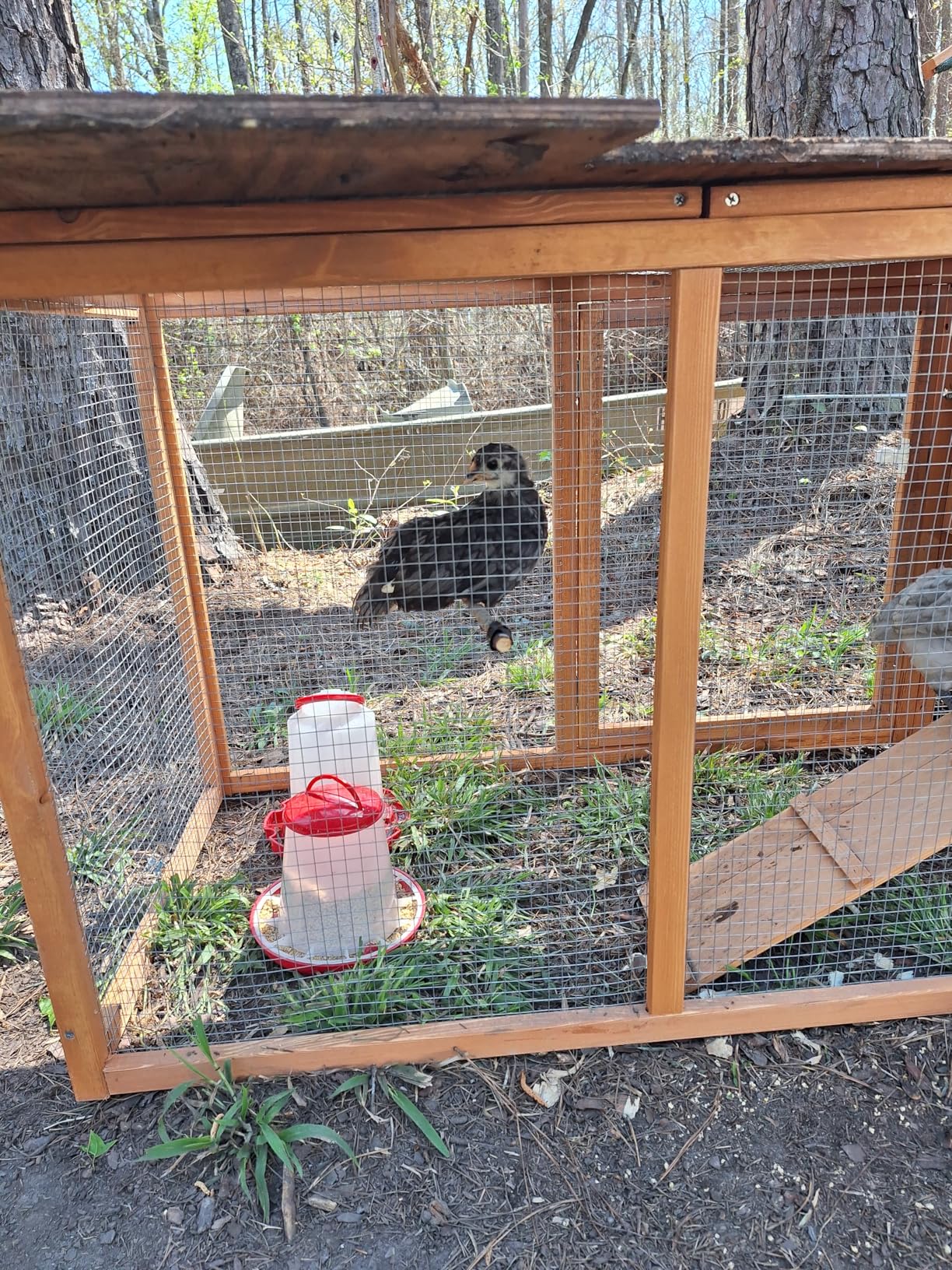 Outdoor Chicken Coop for 2-4 Chickens Wooden Hen House Poultry Pet Hutch Run Cage w/Waterproof Asphalt Roof, Ramp, Nesting Box, Wire Fence (80