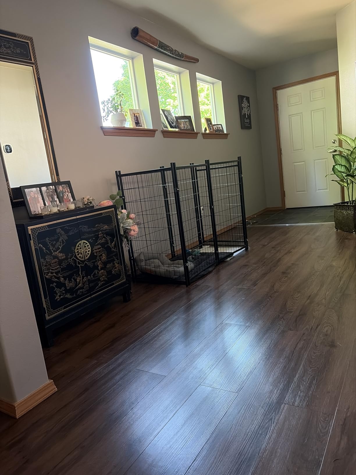 Dog Kennel Outdoor, Large Outside Dog Kennel with Roof & Swivel Feeders/Removable Doggy Door Allow Connecting Your Dog House, Heavy Duty Dog Run Pen for Medium/Large Dogs (8'L x 4'W x 6'H) customer photo 1