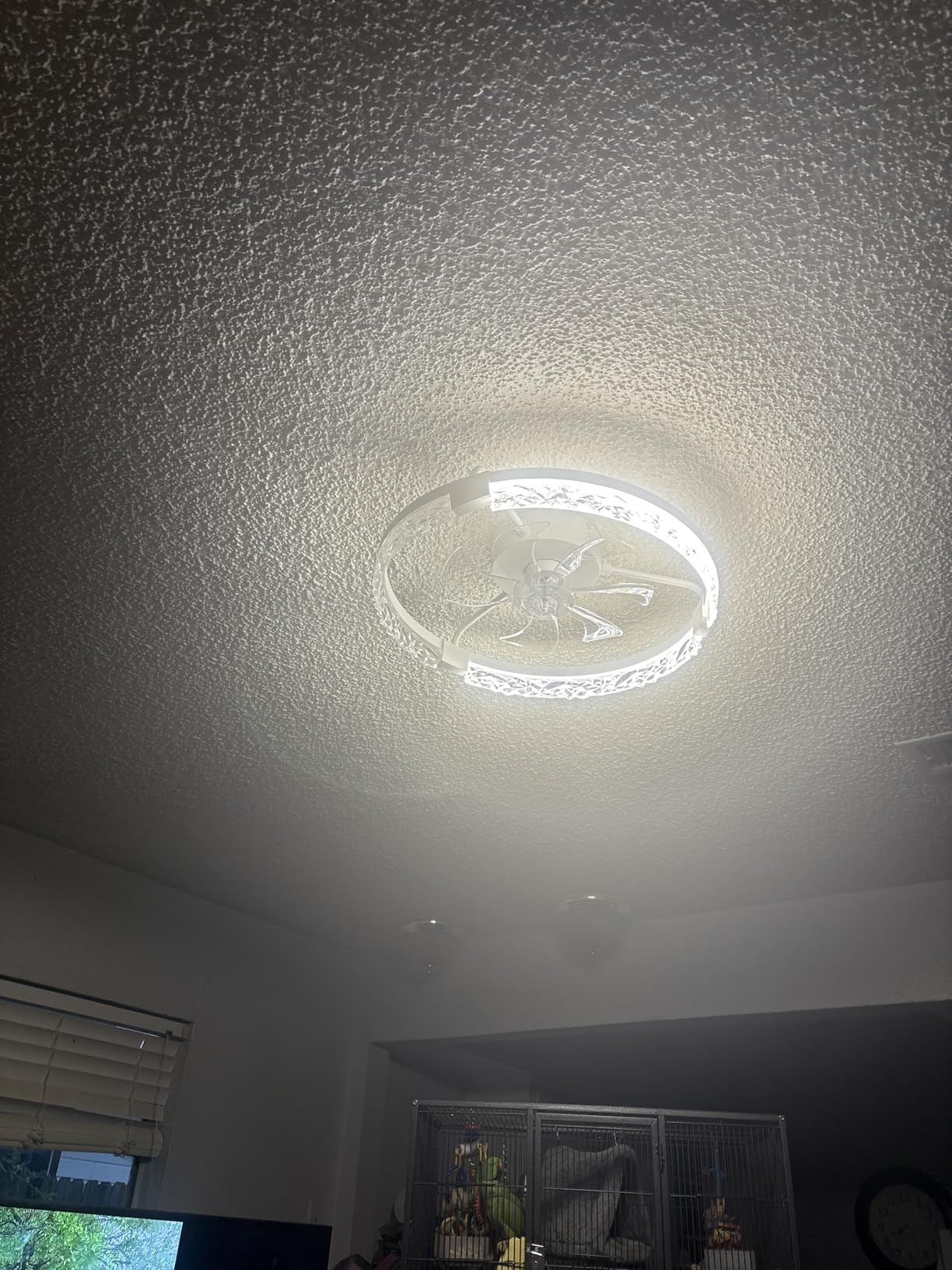 LEDIARY 20 Inch Low Profile Ceiling Fans with Lights and Remote, Fandelier Ceiling Fan Flush Mount, 3000K-6000K Dimmable LED Fan Light, White Modern Ceiling Fans with Lights for Bedroom customer photo 2