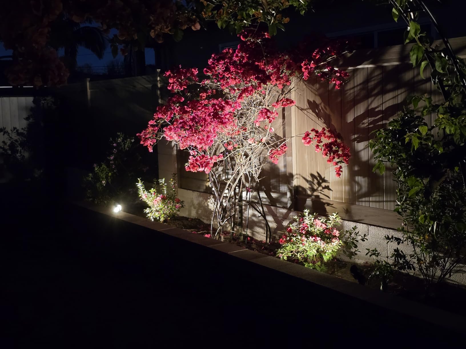 Gardencoin Low Voltage Landscape Spotlight, 12V LED Outdoor Landscape Lighting, Landscape Spot Lights Wired for Garden and Yard, Aluminum Up Lighting Fixture with 5W MR16 Replaceable Bulb (6 Pack) customer photo 1