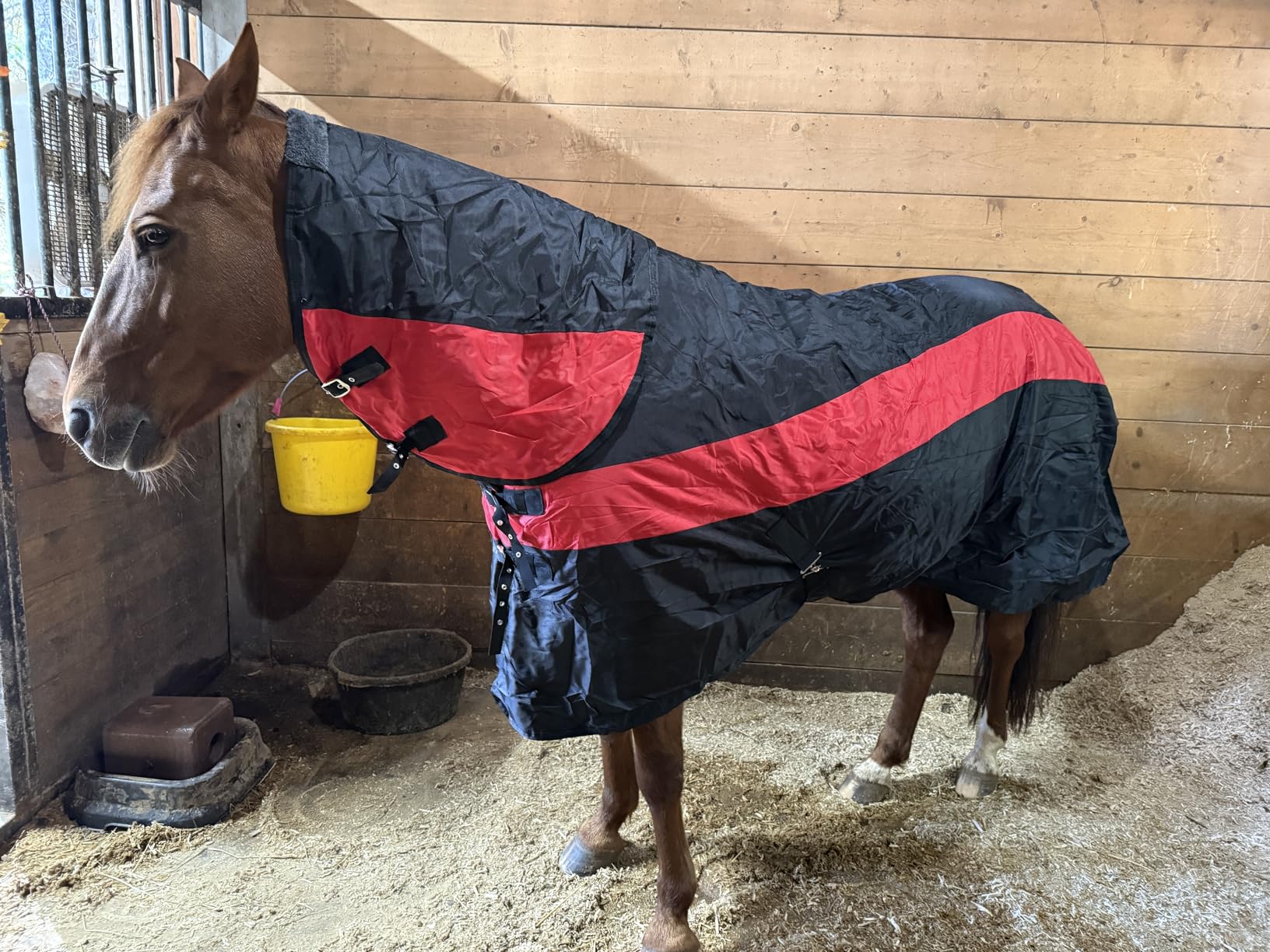 Horse Turnout Blanket,1600D Waterproof Medium Weight Winter Blanket for Horse,(220g Filling) with Detachable Neck Cover, Horse Blanket for Real Horses customer photo 1